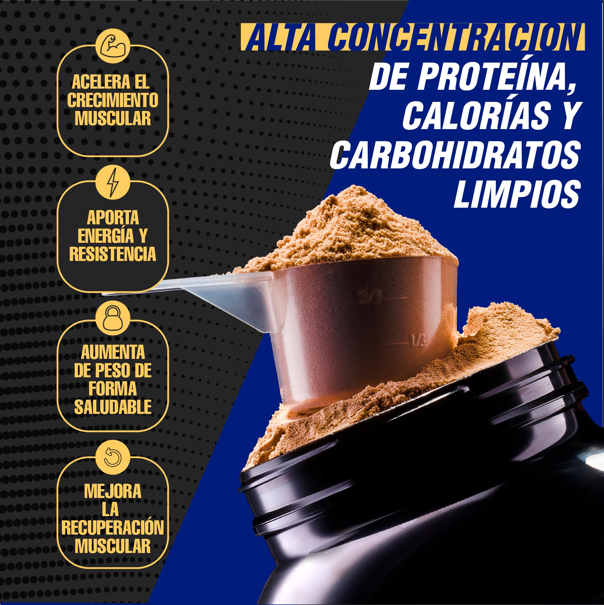Healthy Fusion Extreme Gainer | Con Proteine del Siero del Latte, Magnesio, Farina d'avena e Maca | Aumentatore di peso | Pre e post-allenamento | Cioccolato 1,5kg