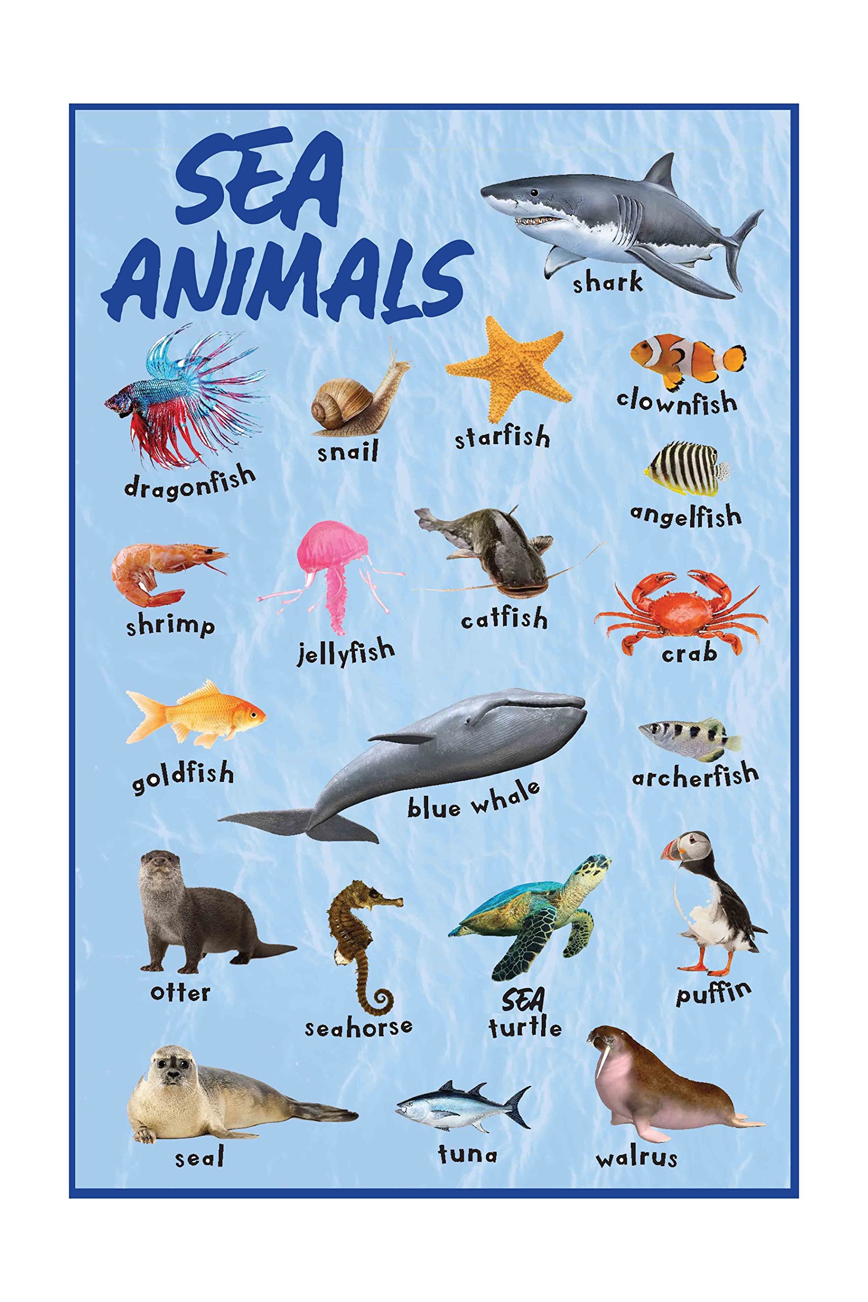 Buy Educational Popular Personalities Prime Ministers of India Wall