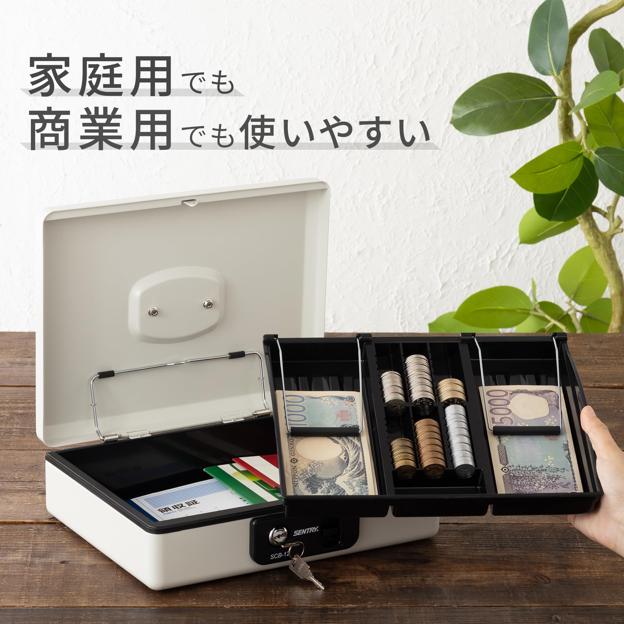 Amazon.co.jp: SENTRY (セントリー) 金庫 手提げ金庫 小型