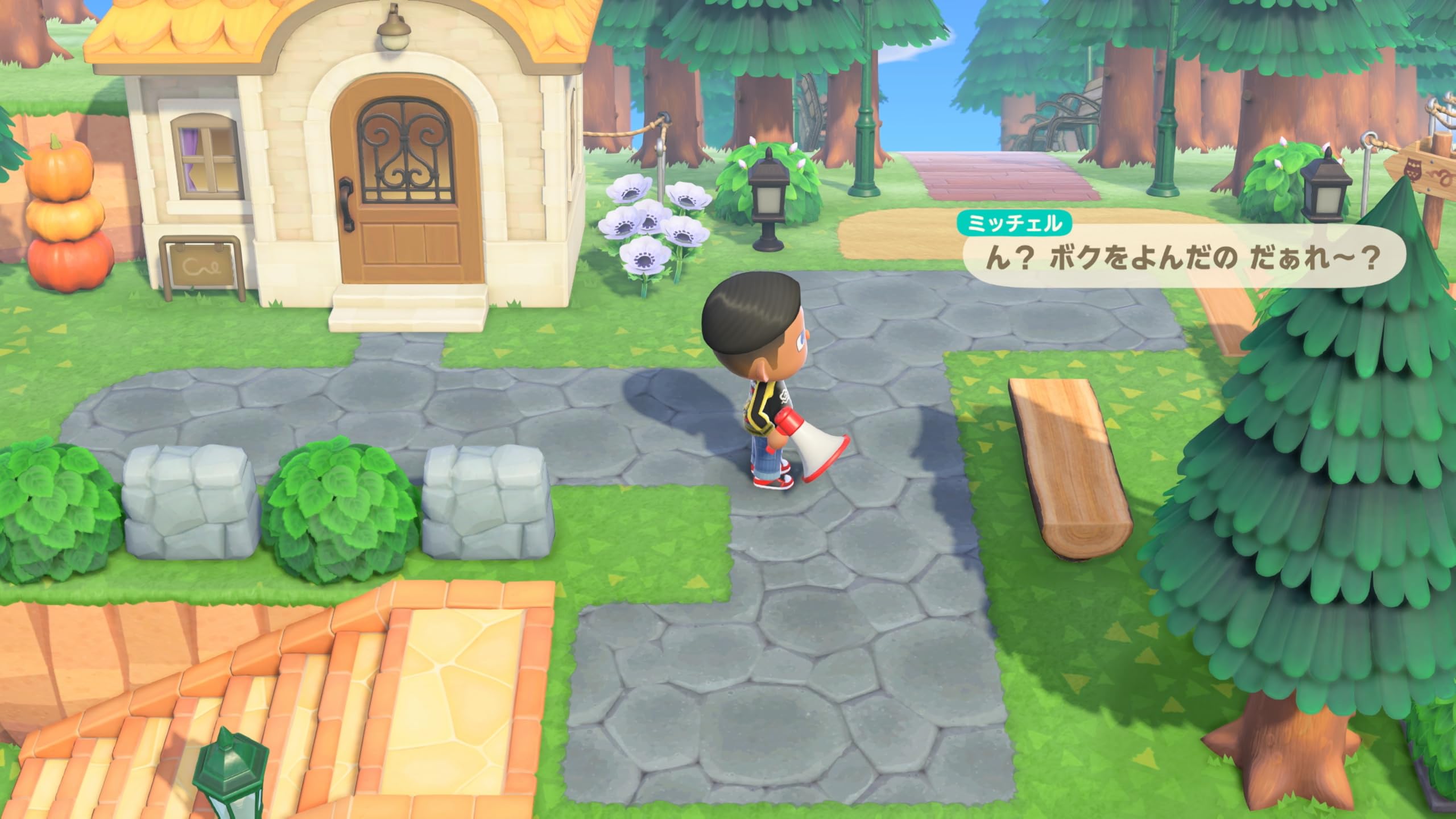 Amazon.co.jp: あつまれ どうぶつの森 Nintendo Switch 2 Edition