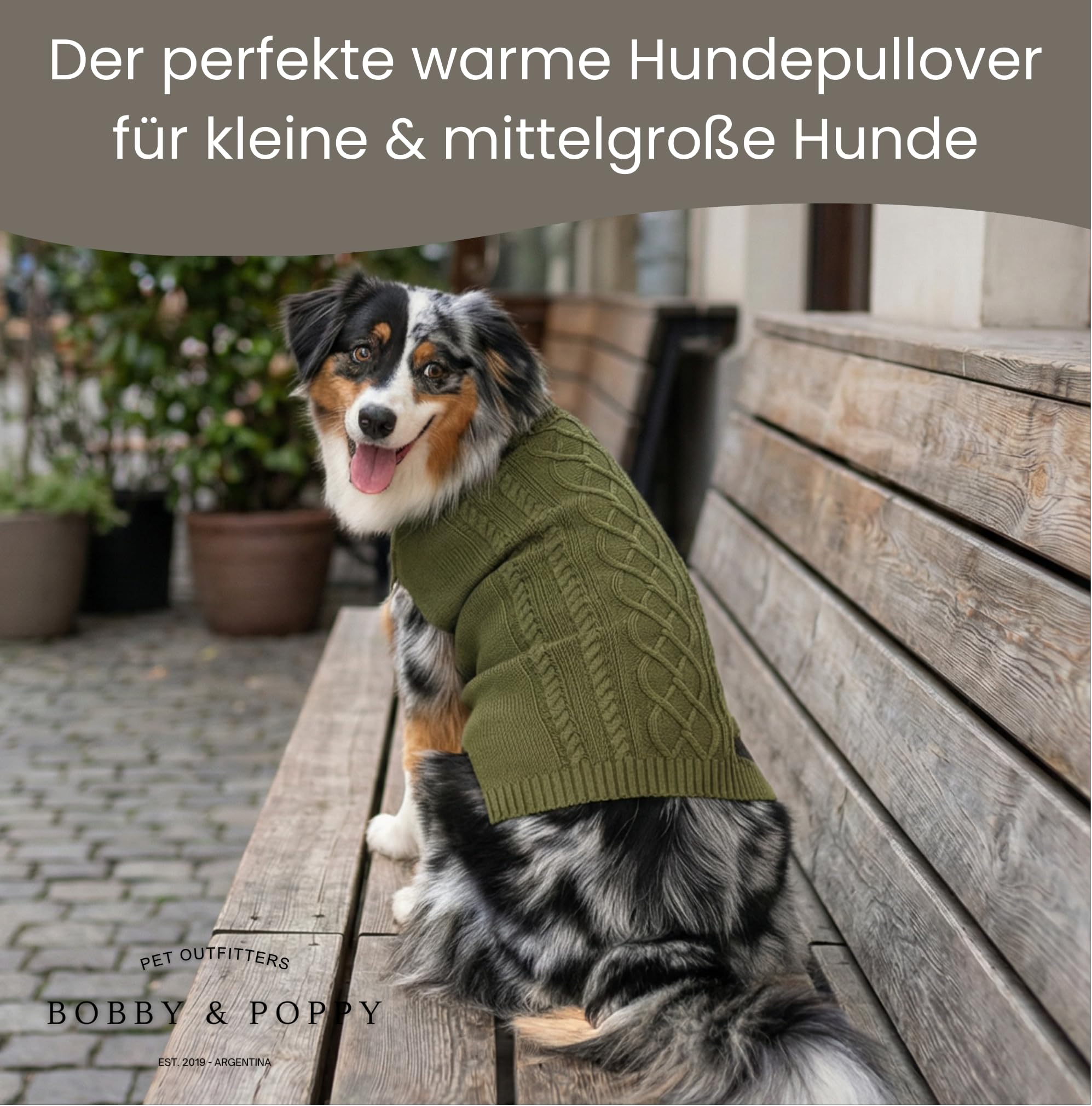 Bobby & Poppy Strick Hundepullover, Warmer Winterpullover für kleine, mittlere & große Hunde, ultrasofter Hundepulli Zopfmuster Dackel Französische Bulldogge Welpen - Grün L Cable Dog_Green_L
