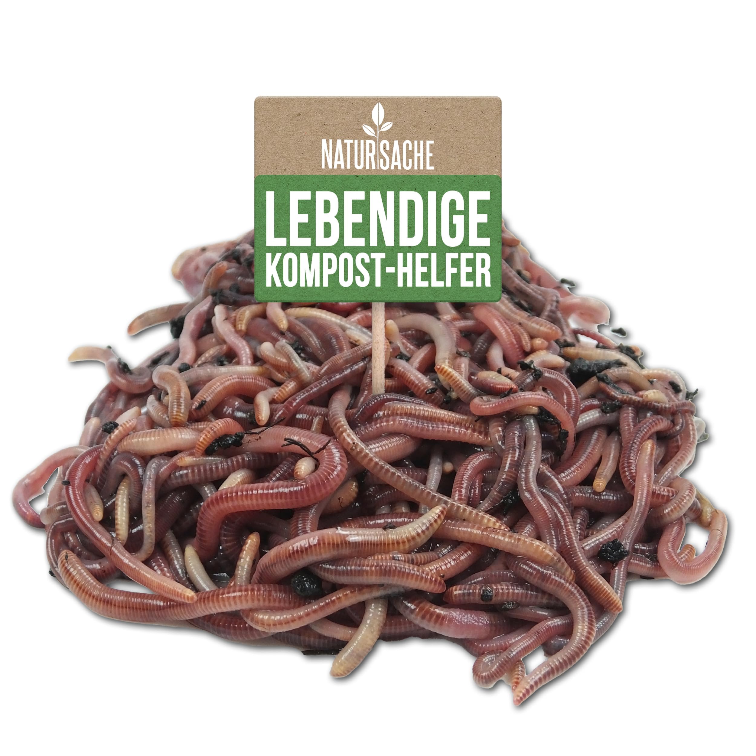 Natursache Kompostwurm-Mix 1500 STK./Sack + E-Book I Mit 3 Arten lebenden Kompostwürmer I Für eine schnelle & nachhaltige Kompostierung in Schnellkomposter, Thermokomposter und Wurmkomposter etc.