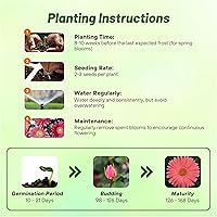 Vista 32 de Outsidepride Bicolor Mix Gerbera Seeds - 10 Pcs Perennial, Compact & Low Maintenance, Flower Seeds for Planting w/Vibrant Mixed Blooms, Ideal for