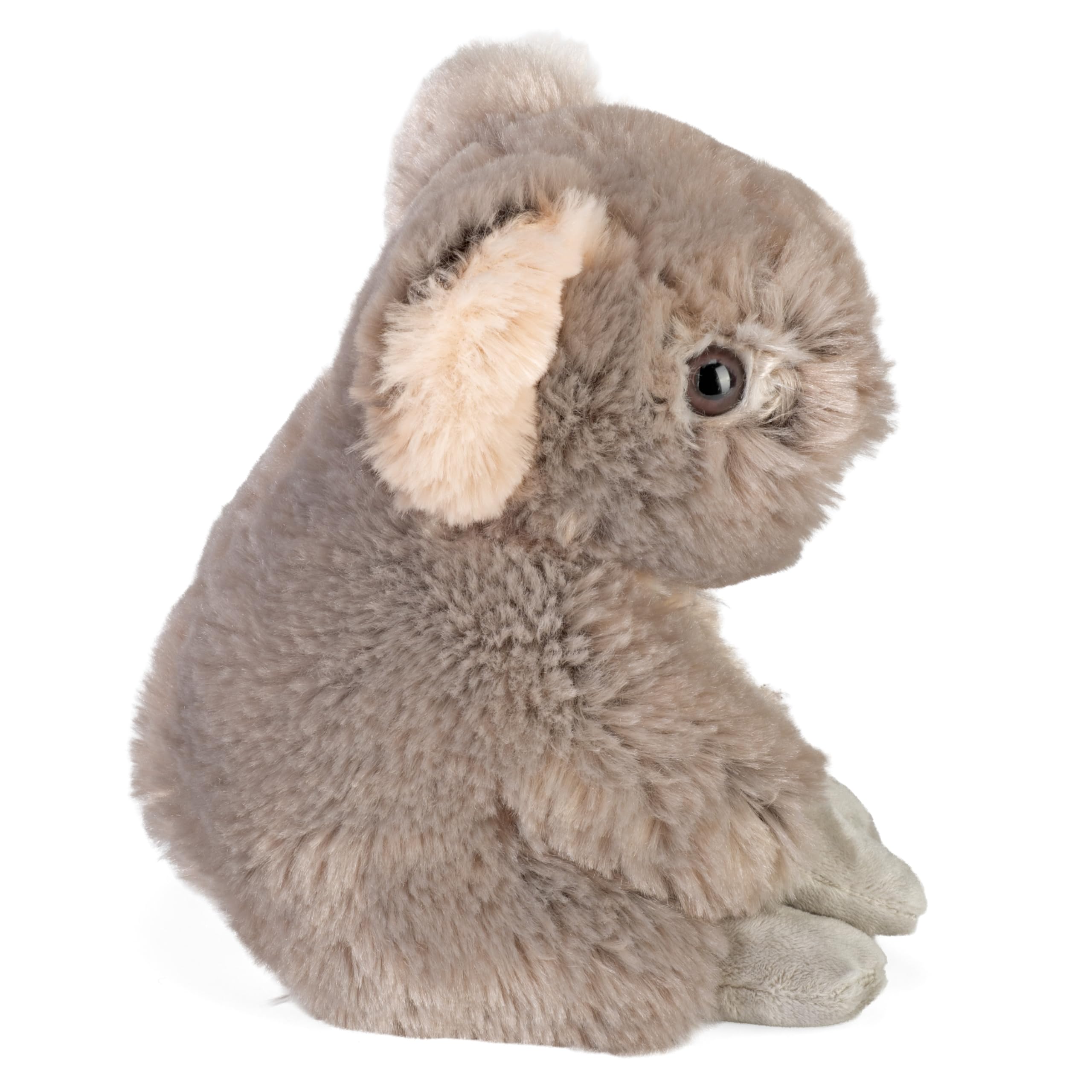 Amazon.co.jp: Wild Republic CK-Mini コアラ 8インチ 動物 ぬいぐるみ
