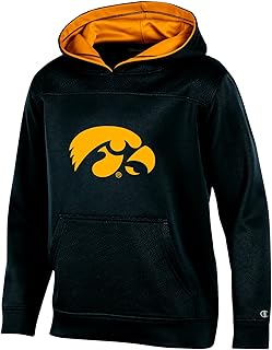 mens champion hoodie kohl's