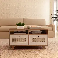 Mesa de Centro com 2 gavetas com corrediças telescopicas e impressão palha 3D TRAMA cor Cinamomo c/Off White - Artely