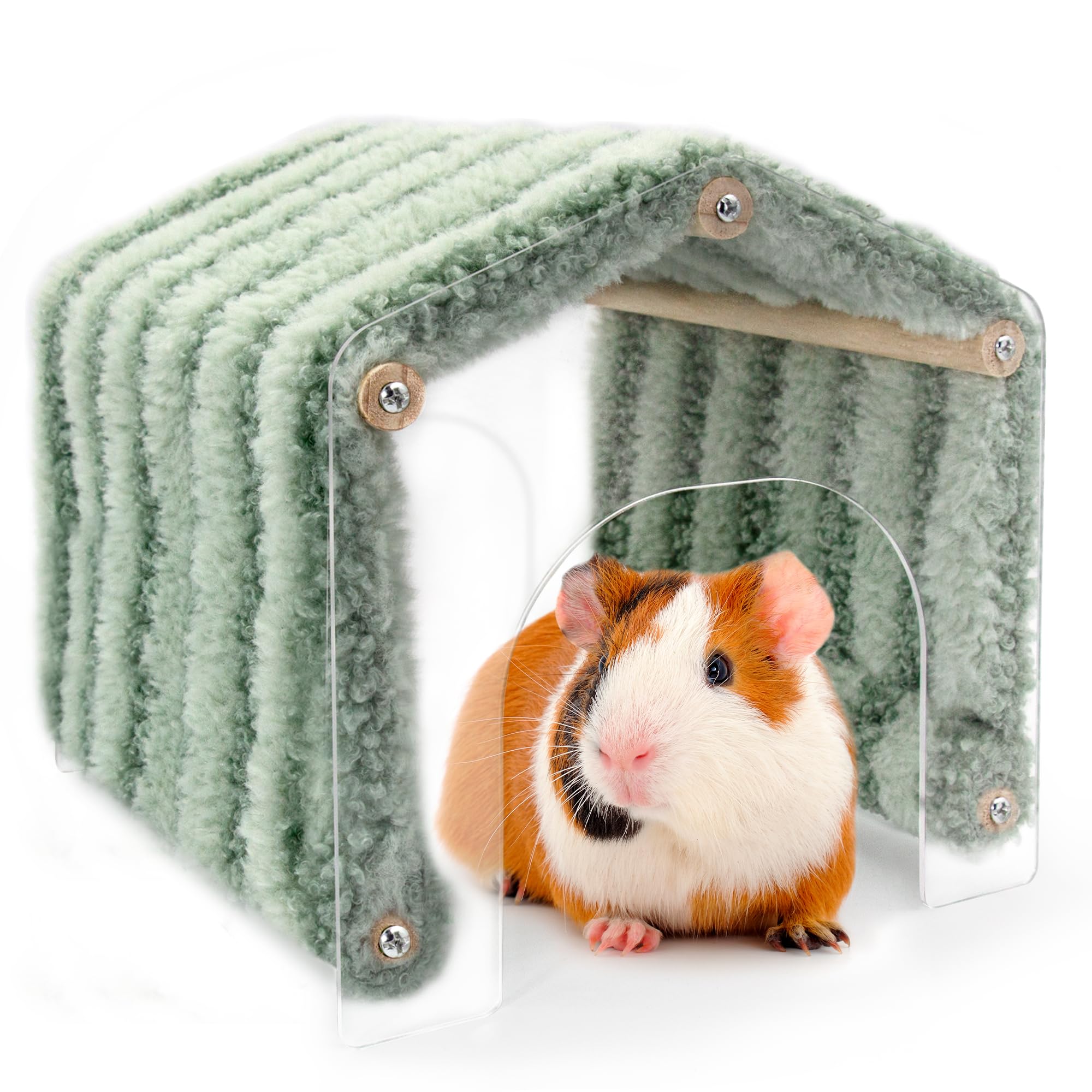 Snapklik.com : Jevnd Clear Observation Guinea Pig Plastic Hideout ...