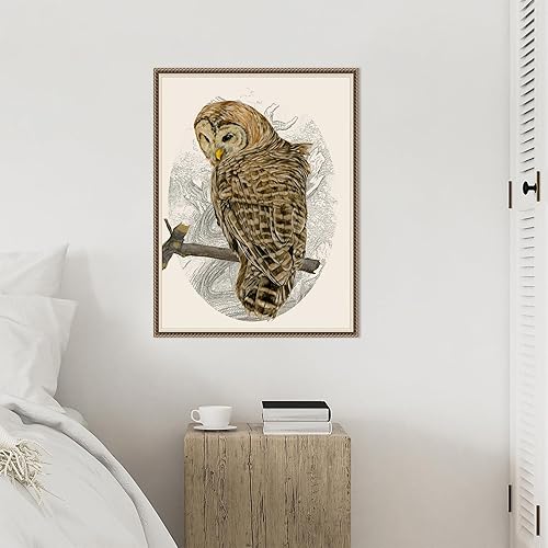 Miniatura 6 de Amanti Art Lienzo enmarcado para pared, 30 x 23 pulgadas, búho barrado II por Melissa Wang, lienzo enmarcado para pared, obras de arte de animales,