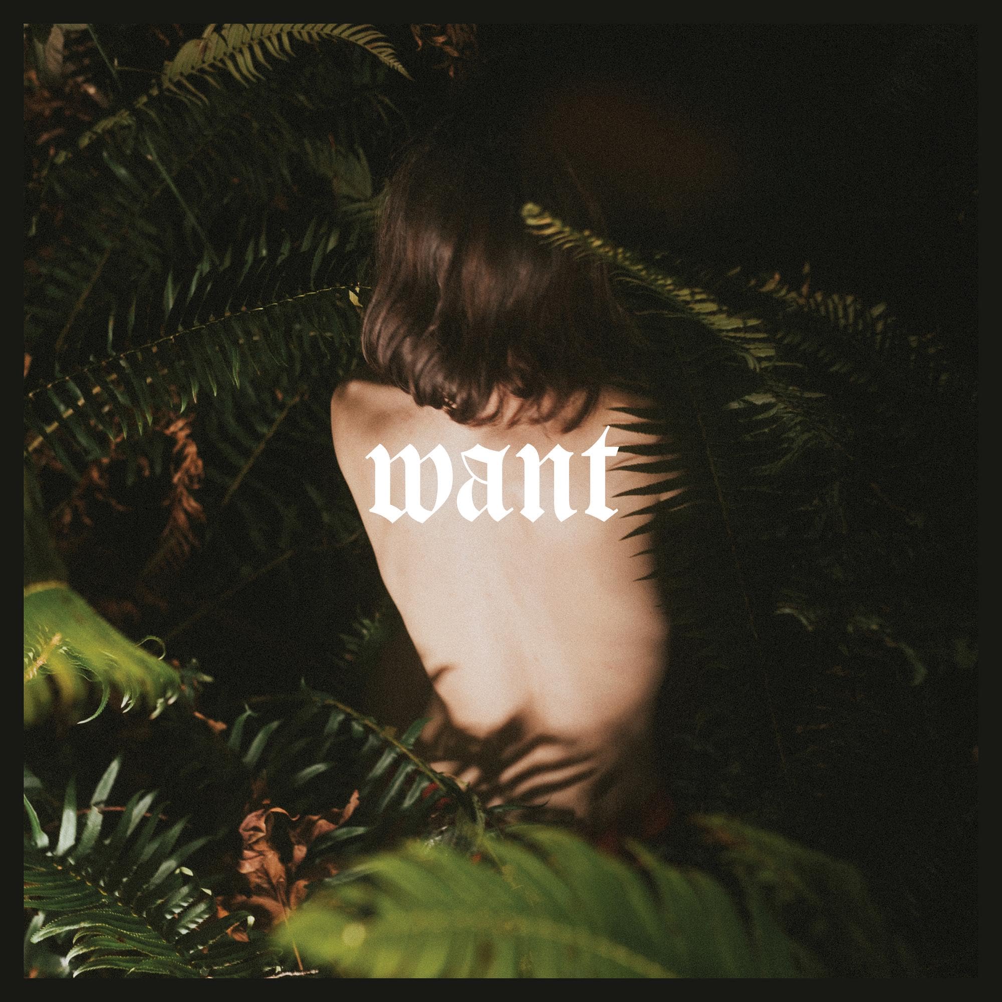 want [VINYL]