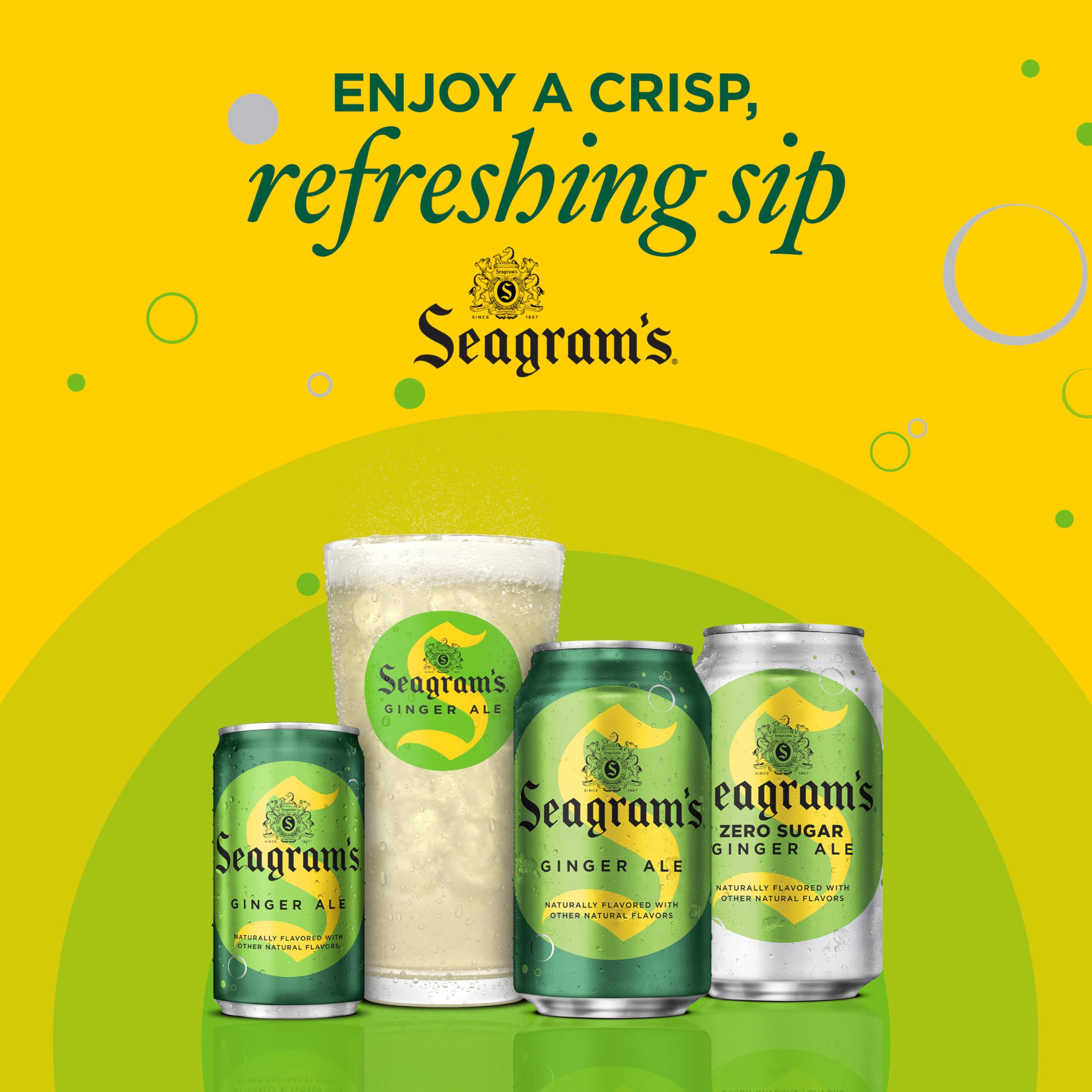Seagram's Diet Ginger Ale, 12 fl oz, 12 Pack