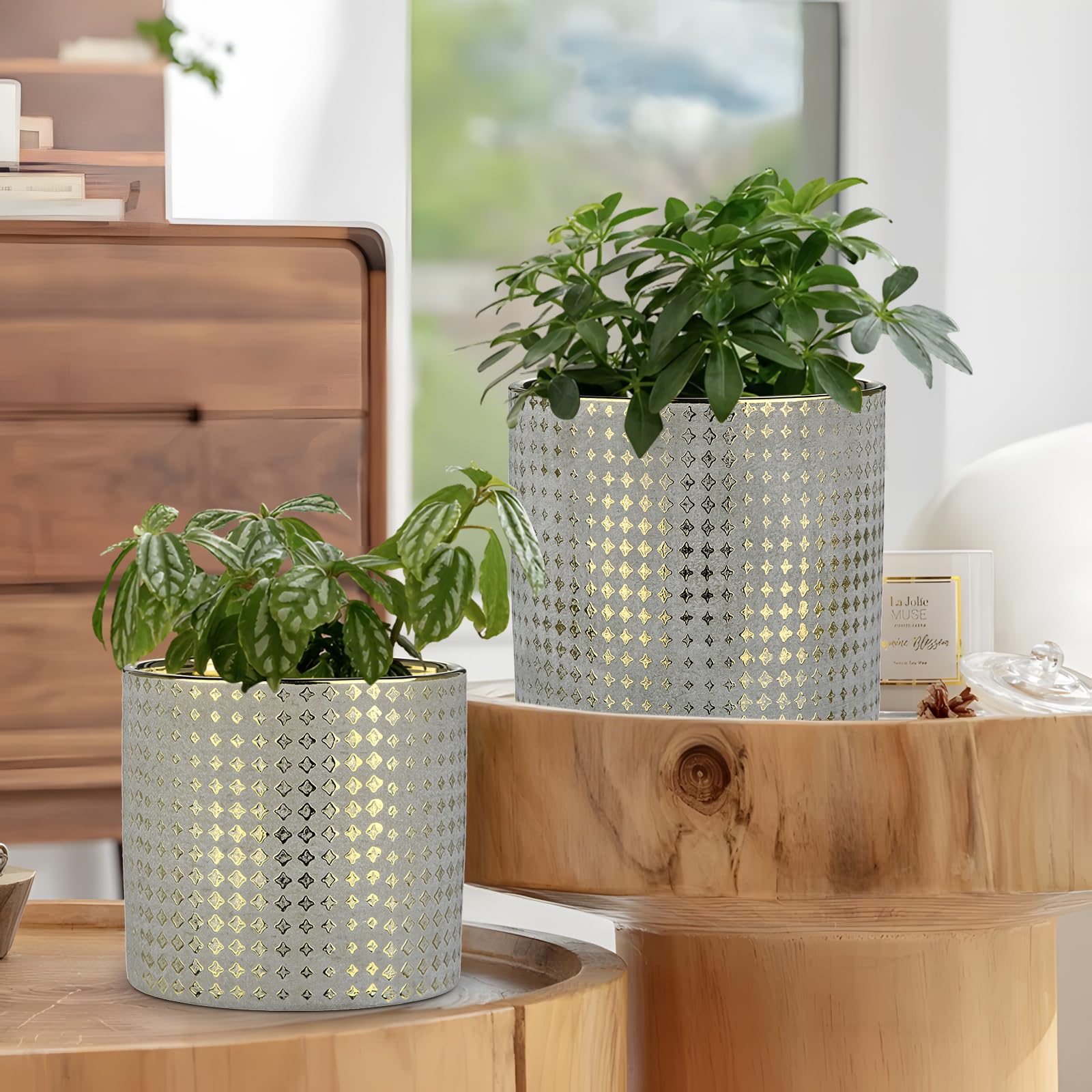 Oairse 2er-Set Blumentöpfe mit Abflussloch Vergoldeter Keramik-Pflanztopf mit Gold Star Textur Perfekt für Moderne Dekoration und Pflanztöpfe, Dekorativen KeramikTöpfen Drinnen und Draußen