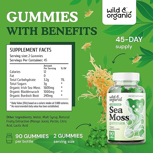 Miniatura 3 de Wild & Organic Gomitas de musgo marino irlandés de 1600 mg – Complejo con raíz de vejiga y bardana – Masticables de gel de musgo marino para apoyo