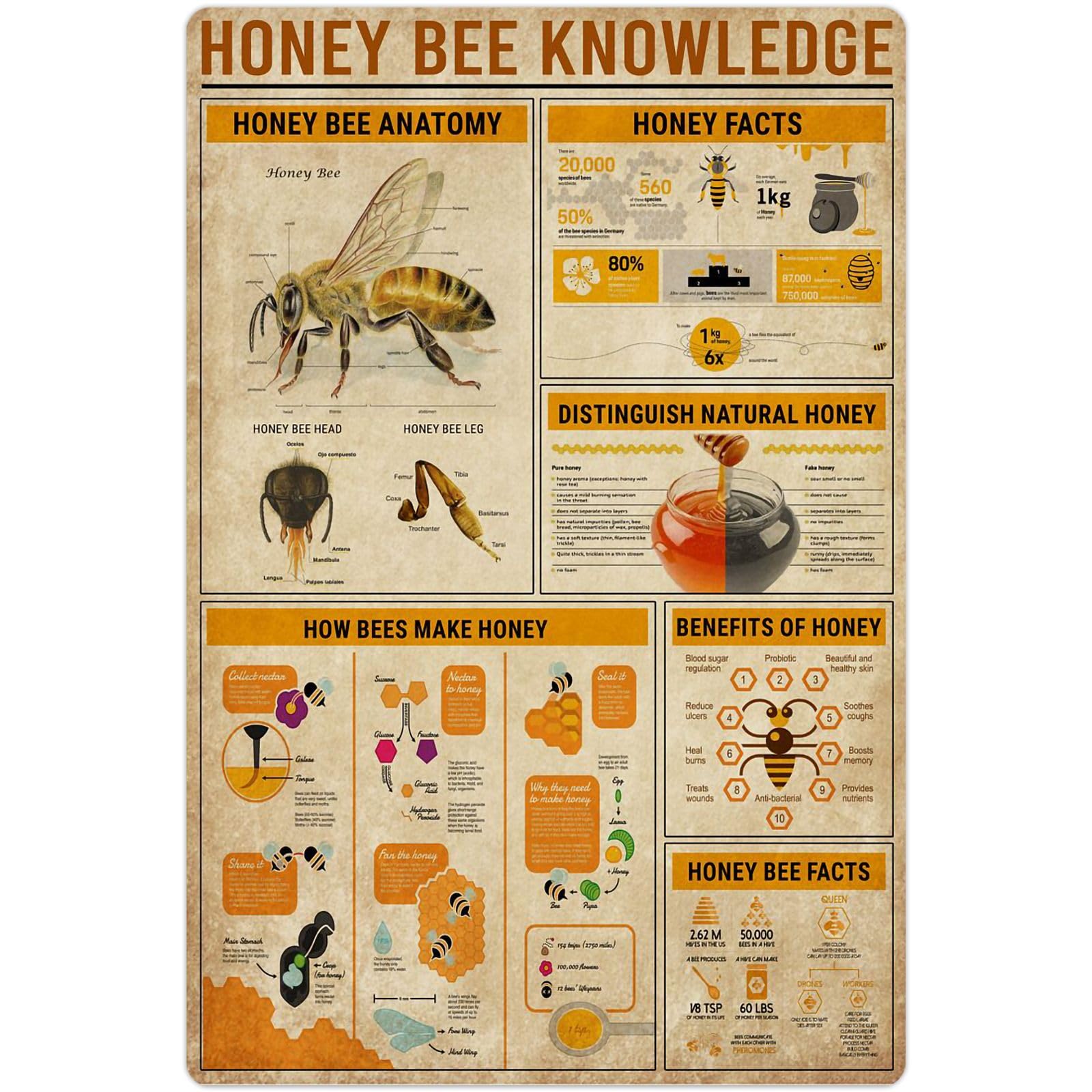 Peiyeety 7Q-65 Honey Bee Knowledge Metal Tin Signs How Bees Make Honey Retro Poster Popular Science Educational Charts Wall Plaques Decor For Home Classroom Room Office 8X12 Inch