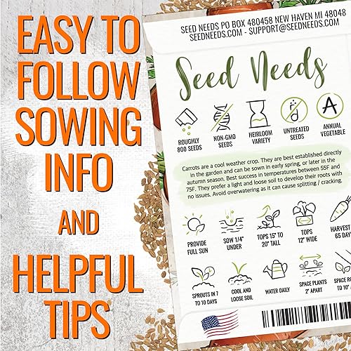 Miniatura 4 de Seed Needs, Red Core - Semillas de zanahoria Chantenay, 800 semillas tradicionales para plantar Daucus carota, cultivadas en casa sin OMG y sin