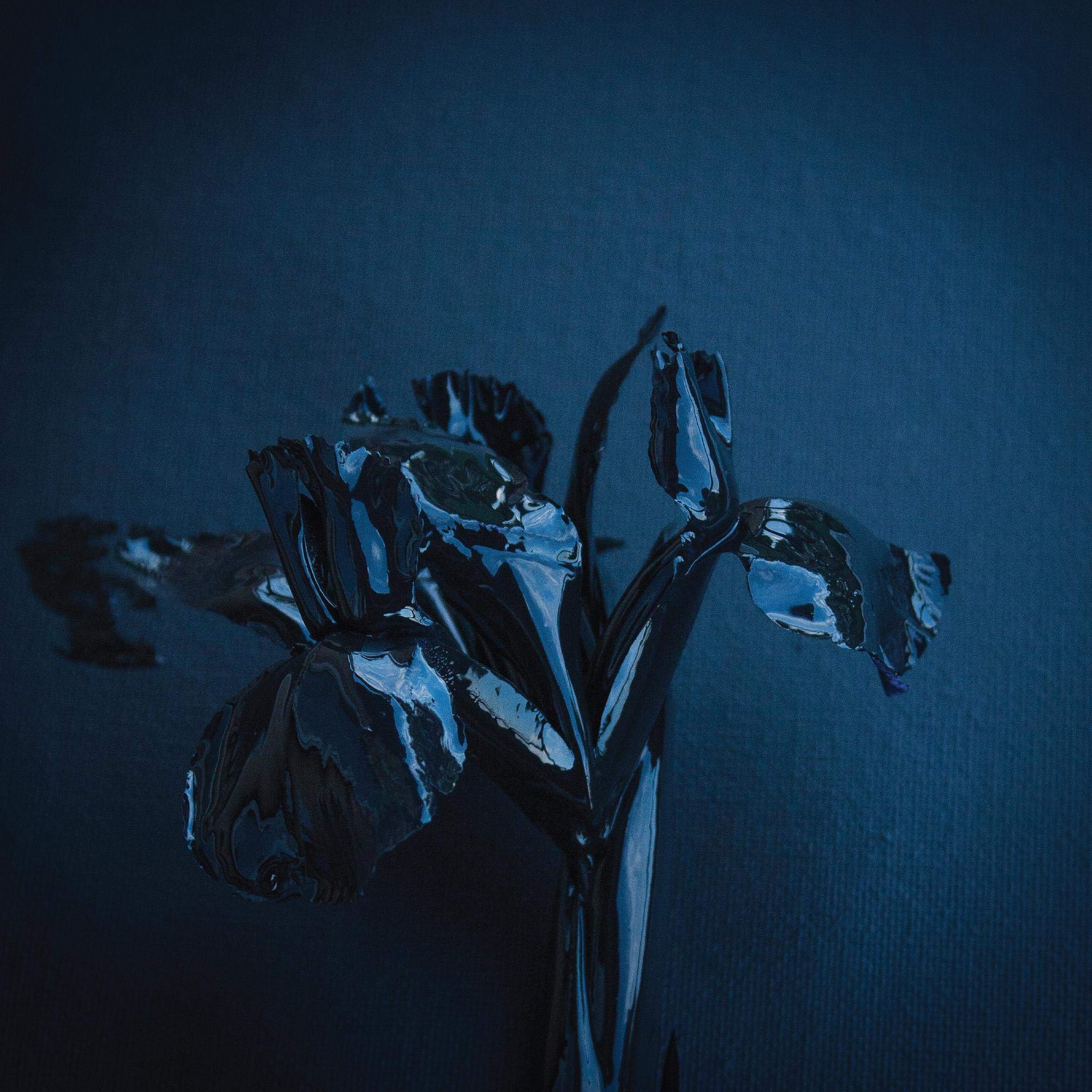 The Rifts [VINYL]