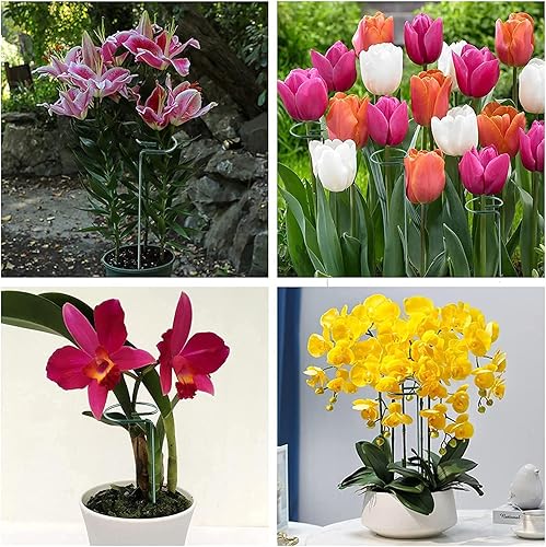 Miniatura 7 de Joyhalo Paquete de 20 estacas de soporte para plantas de 24 pulgadas, estacas para plantas, estacas para flores con 24 ataduras de torsión, palos de