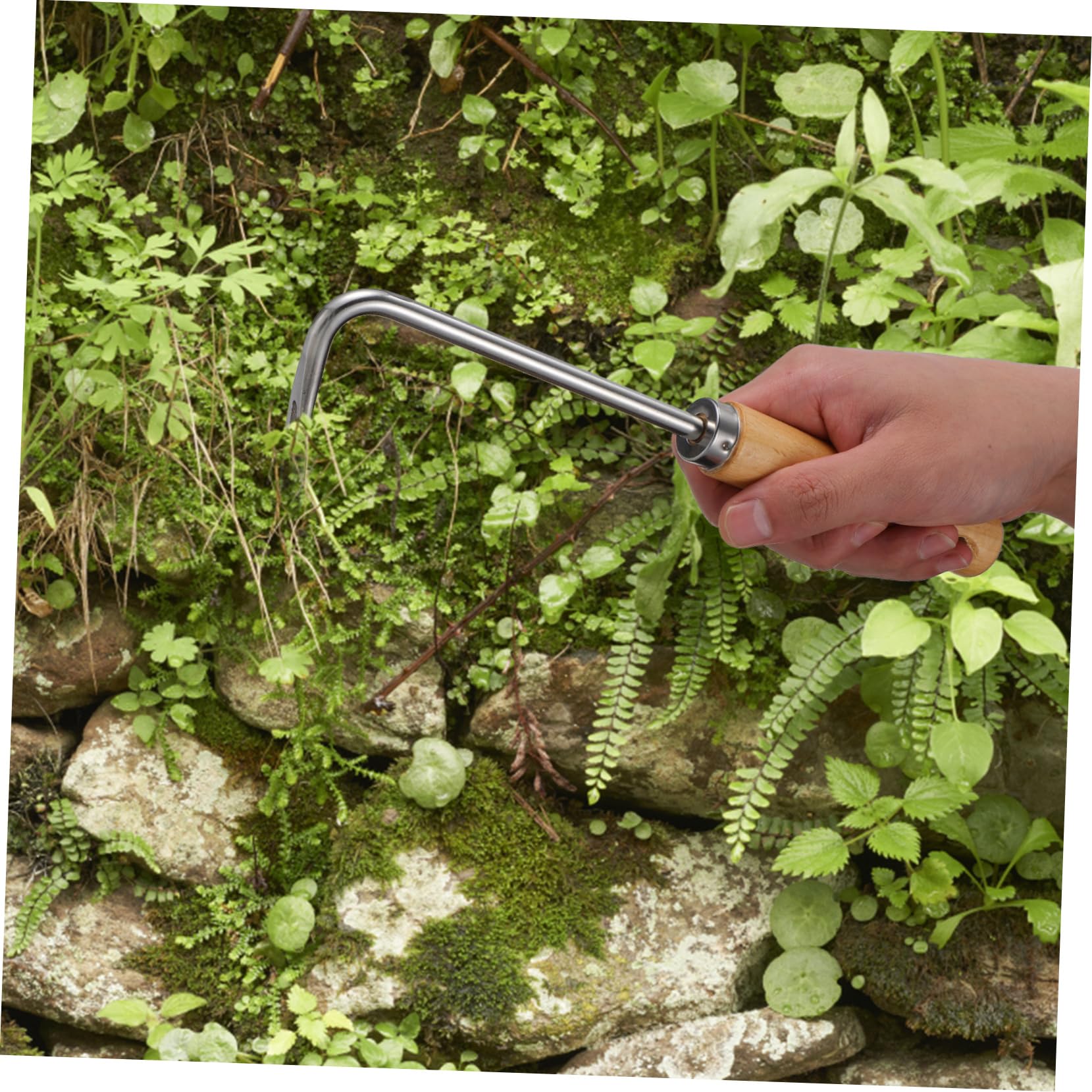Milisten 4 Stück Hand Unkrautstecher mit Holzgriff Effizientes Entfernen von Ergonomisches Gartenwerkzeug für Müheloses Jäten und Graben für Enge Räume im Garten