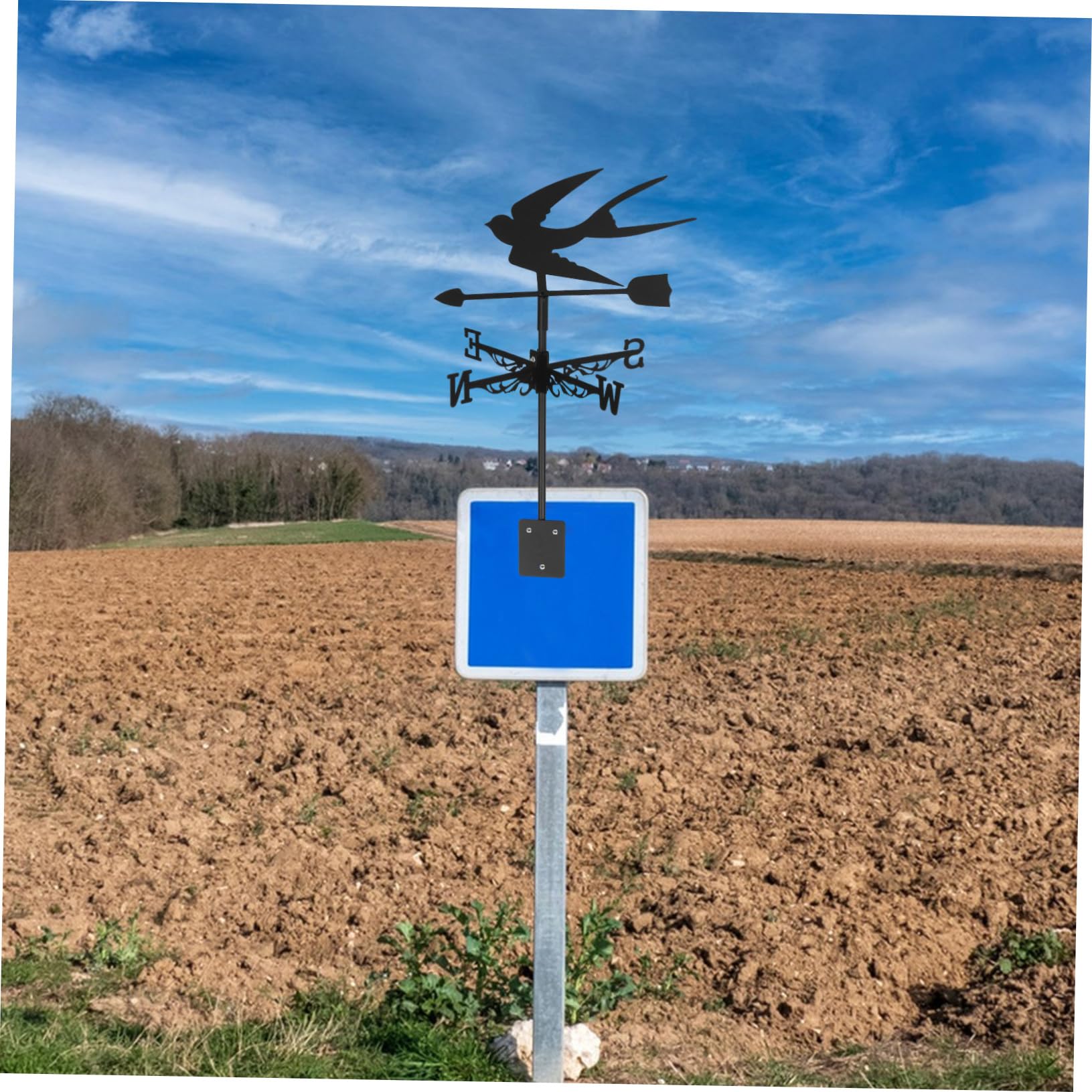 Toddmomy Veleta de Ave de Hierro Forjado Veleta Viento y Señal de Dirección para Decoración de Jardín Exterior Decorativa de Metal para Techo