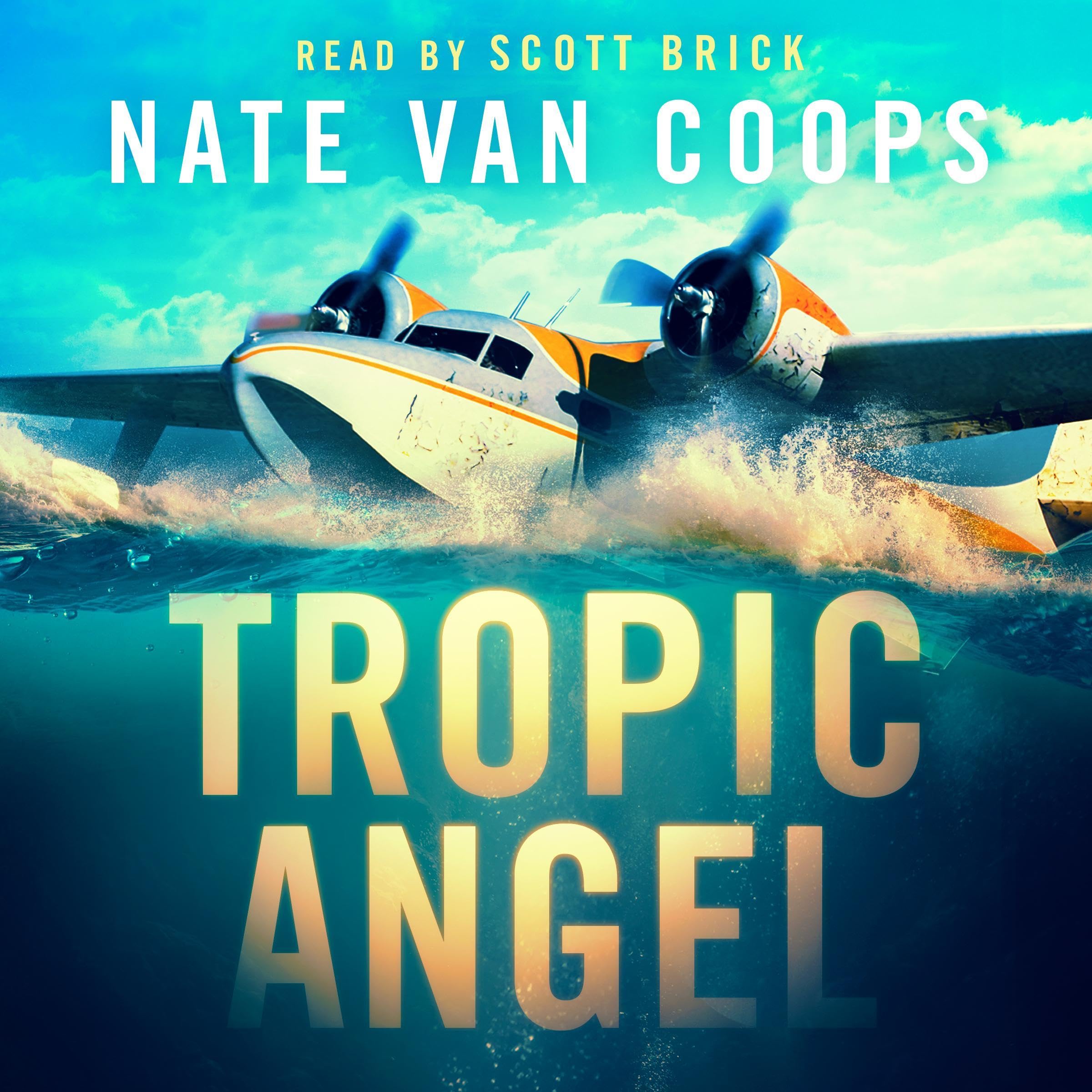 Cover art for Tropic Angel