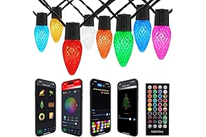 Smart C9 Christmas Outdoor Lights: 66FT 100 LEDs' RGB String Lights, DIY...