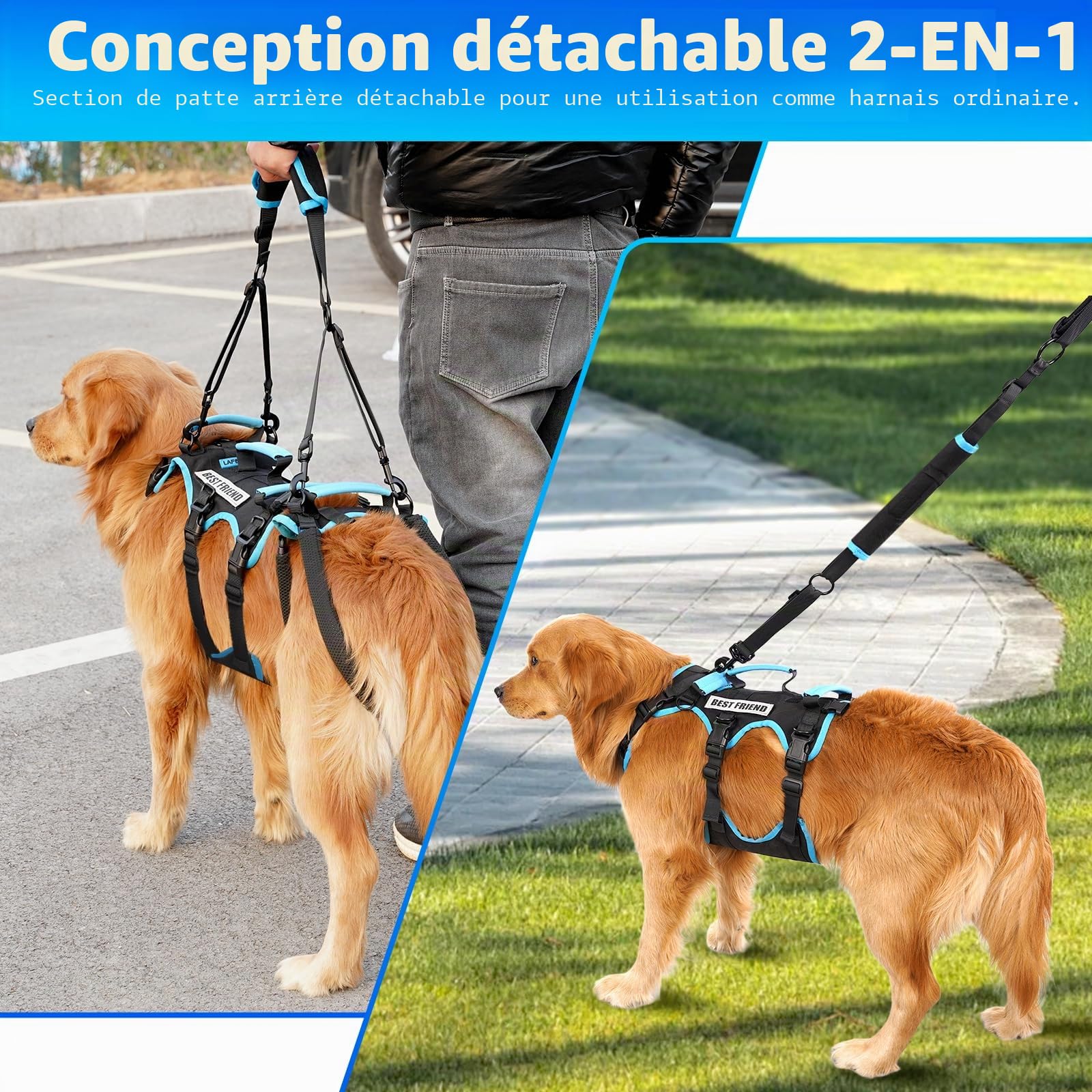 Harnais de Levage pour Chiens Grands Mâles – Harnais 2-en-1 Aide à la Levée, Soutien des Pattes Arrières & Assistance Mobilité pour Chiens Âgés (Noir, Grand)