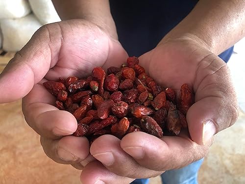 Miniatura 5 de Salsa picante del vientre rojo ahumado - Salsa picante roja de la pimienta de Cobanero - Increíble salsa de taco estallando con un sabor picante