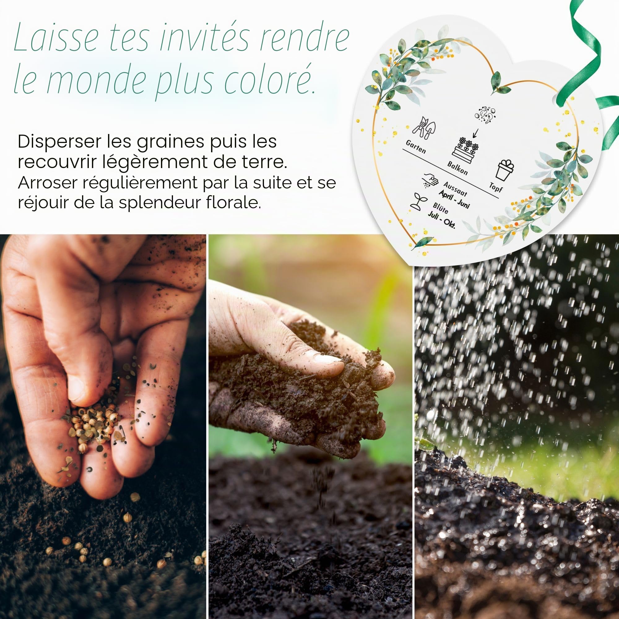 Lot de 50 graines de fleurs de mariage - Cadeau de mariage spécial pour les invités - Lasst unsere Liebe wachsen - Set complet (50)