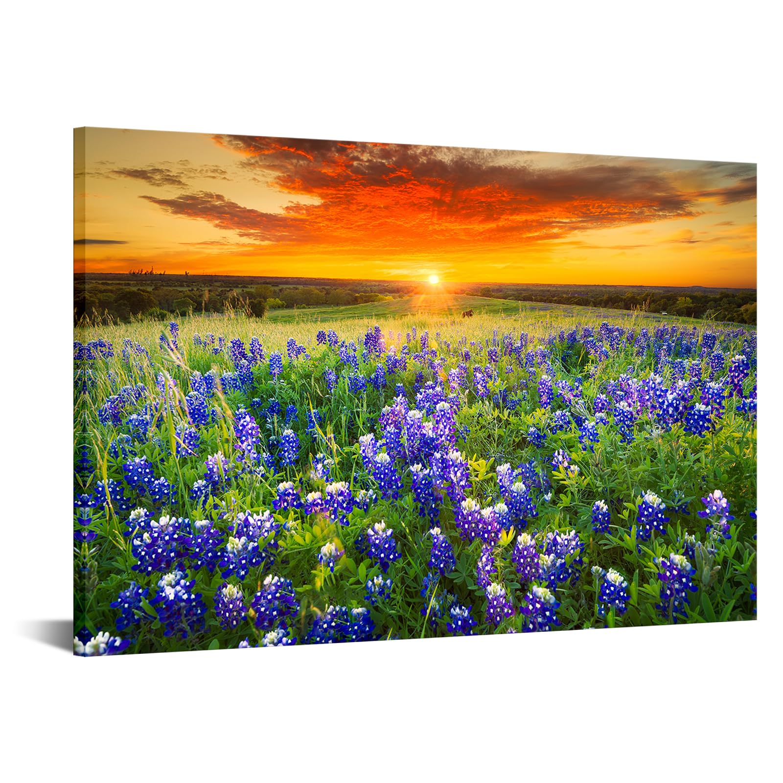 Photo 1 of *DAMAGED SEE PHOTOS* * Nachic Wall - Texas Sunset Picture Wall Art Beautiful Bluebonnets Field Photo Canvas Painting Natural Landscape Poster Artwork,Extra Large 32"x48"