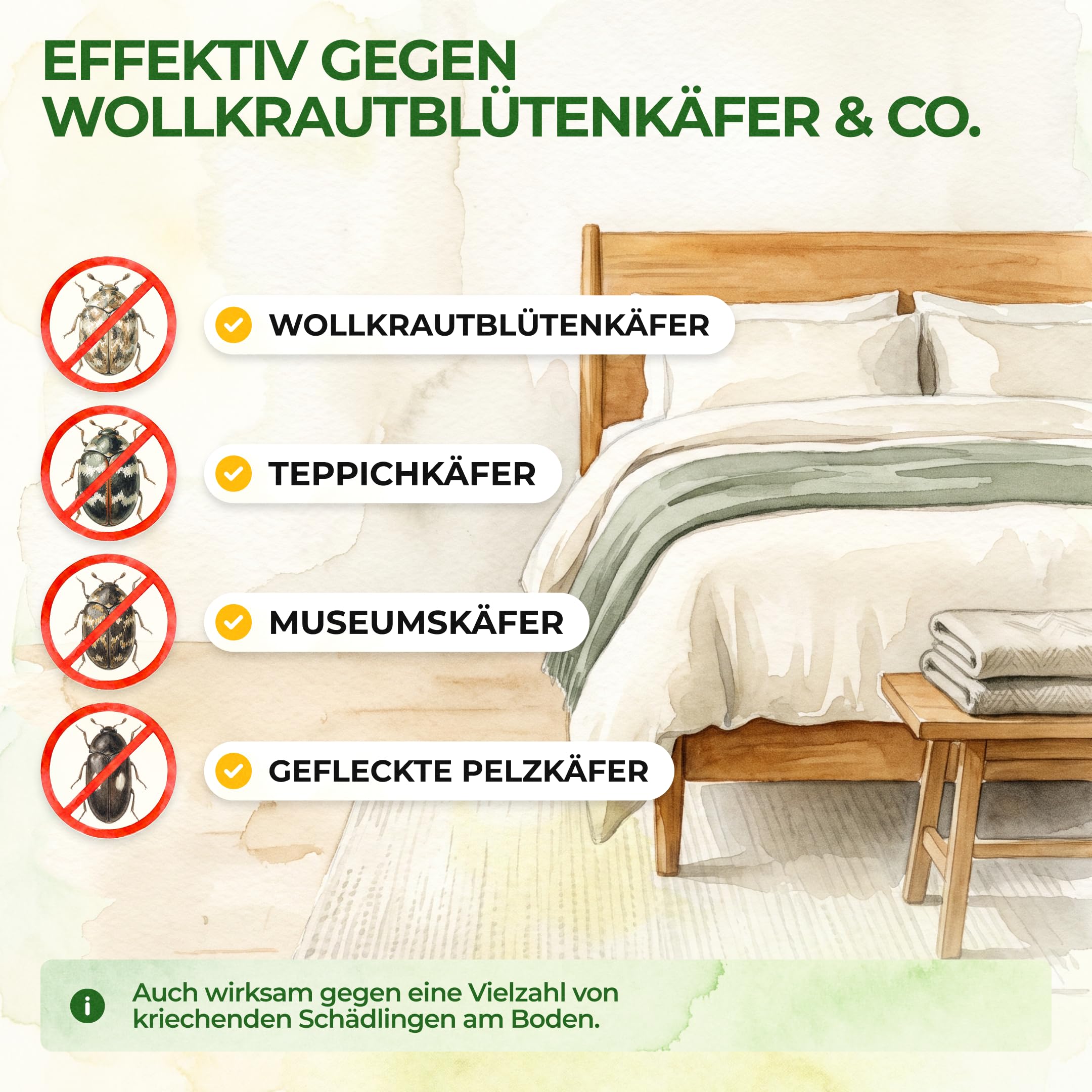 GREEN GUARDIA Wollkrautblütenkäfer Falle mit Pheromon-Lockstoff - 10x Fallen - umweltfreundlich Wollkrautblütenkäfer bekämpfen, Chemiefreie Pheromonfalle mit austauschbaren Klebeflächen,giftfrei