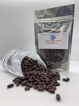 Provider Bush Bean Seeds. 16 Ounce A Garden Favorite, Early Producer and Heavy yielding Bean. "COOL BEANS n SPROUTS" Brand