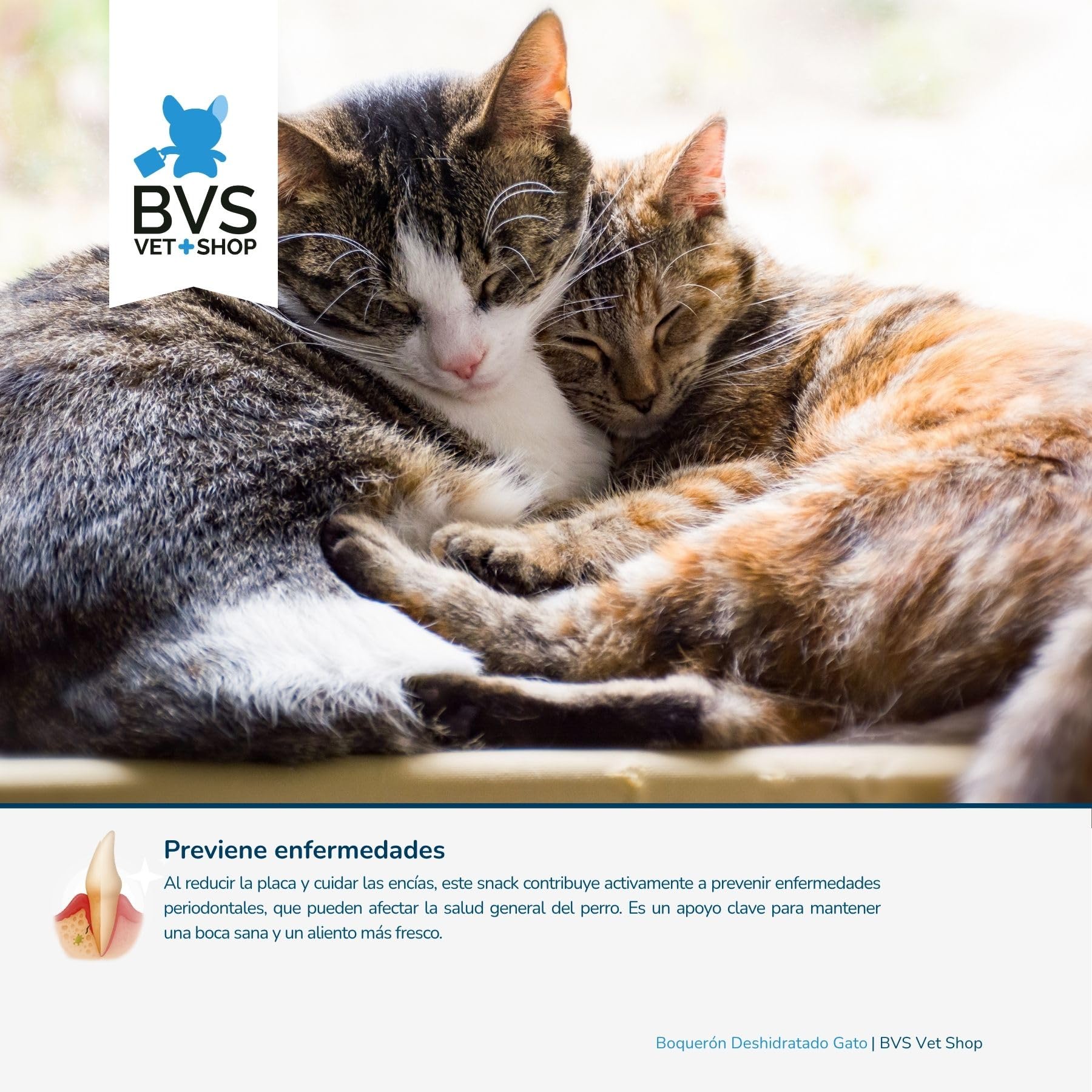 BVS Vet Shop | Boquerón Deshidratado para Gatos | Ayuda a Mantener una dentadura Sana y una higiene bucodental óptima | 60 gr