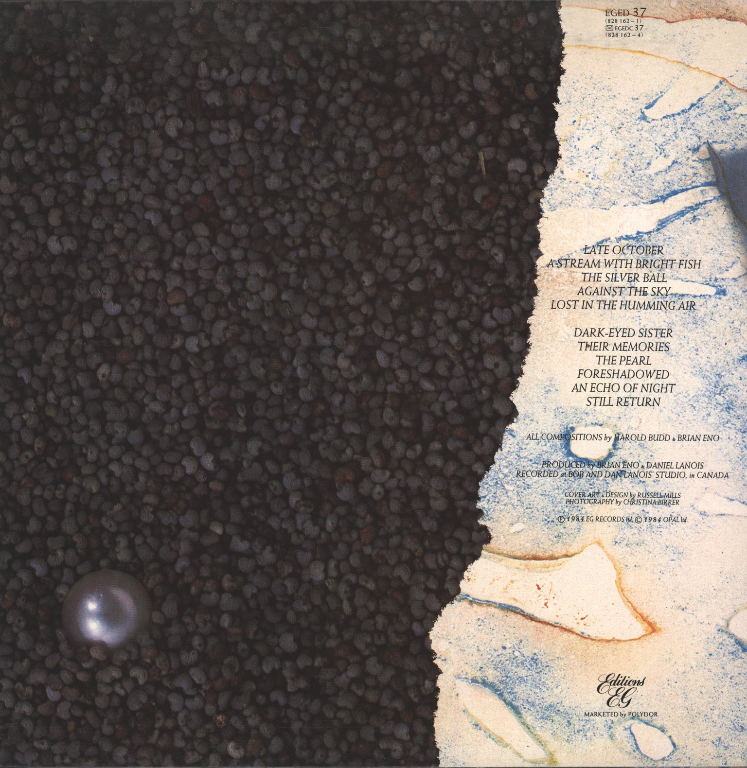 洋楽 Harold Budd & Brian Eno - The Pearl The Pearl - Album by Harold Budd | Spotify