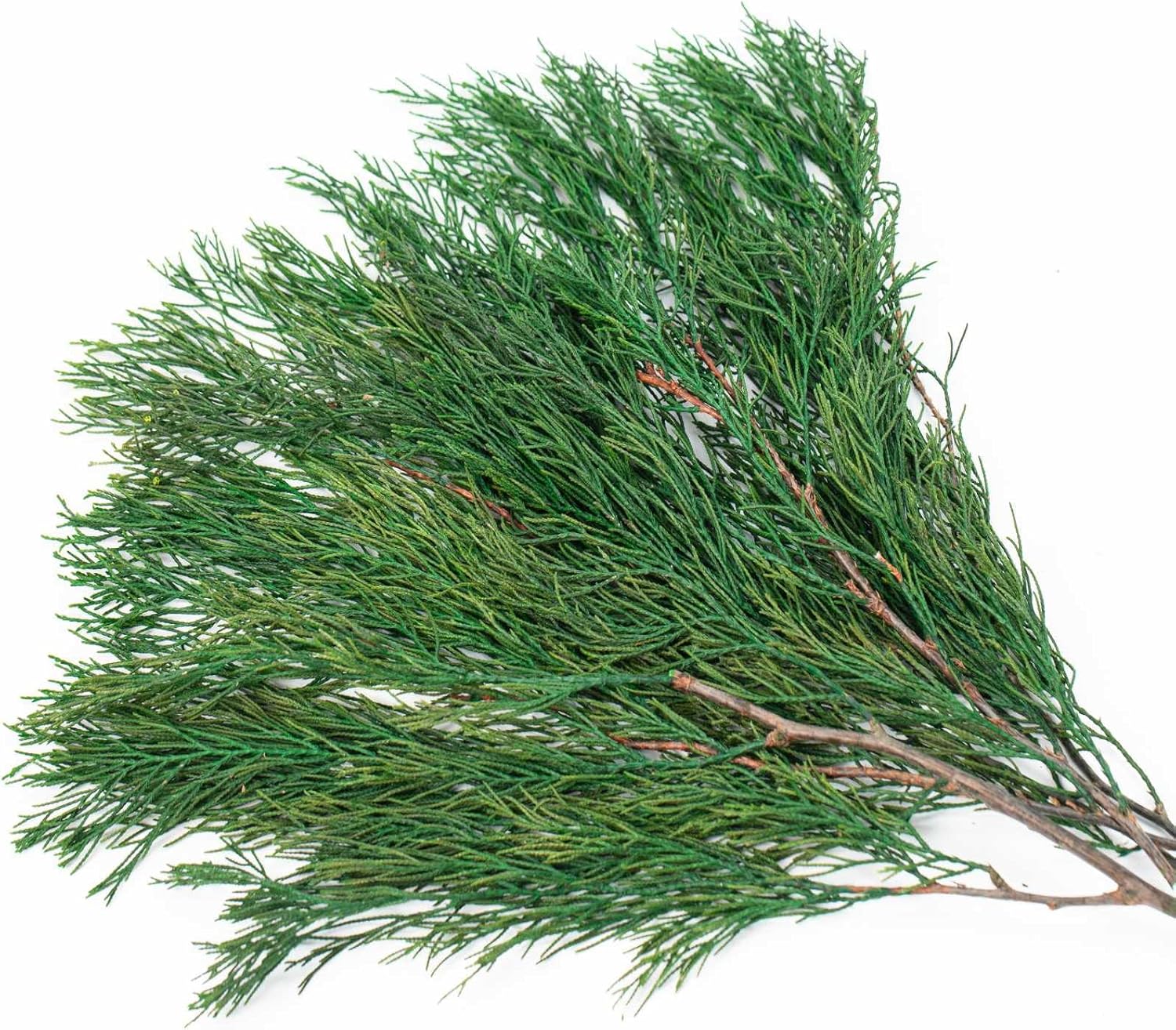 Tavkite 4OZ Preserved Real Pine Leaves Branches 17