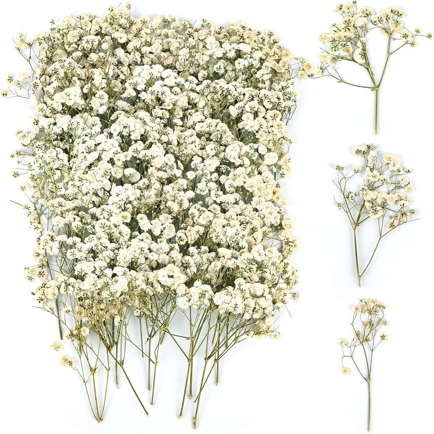 130PCS Dried Pressed Flowers, Natural Baby Breath Dried, Gypsophila Mini Breath Flowers, Real Natural Gypsophila for Vase, Crafts, Resin Art Mini Mixed Floral Set for DIY, Wedding Card