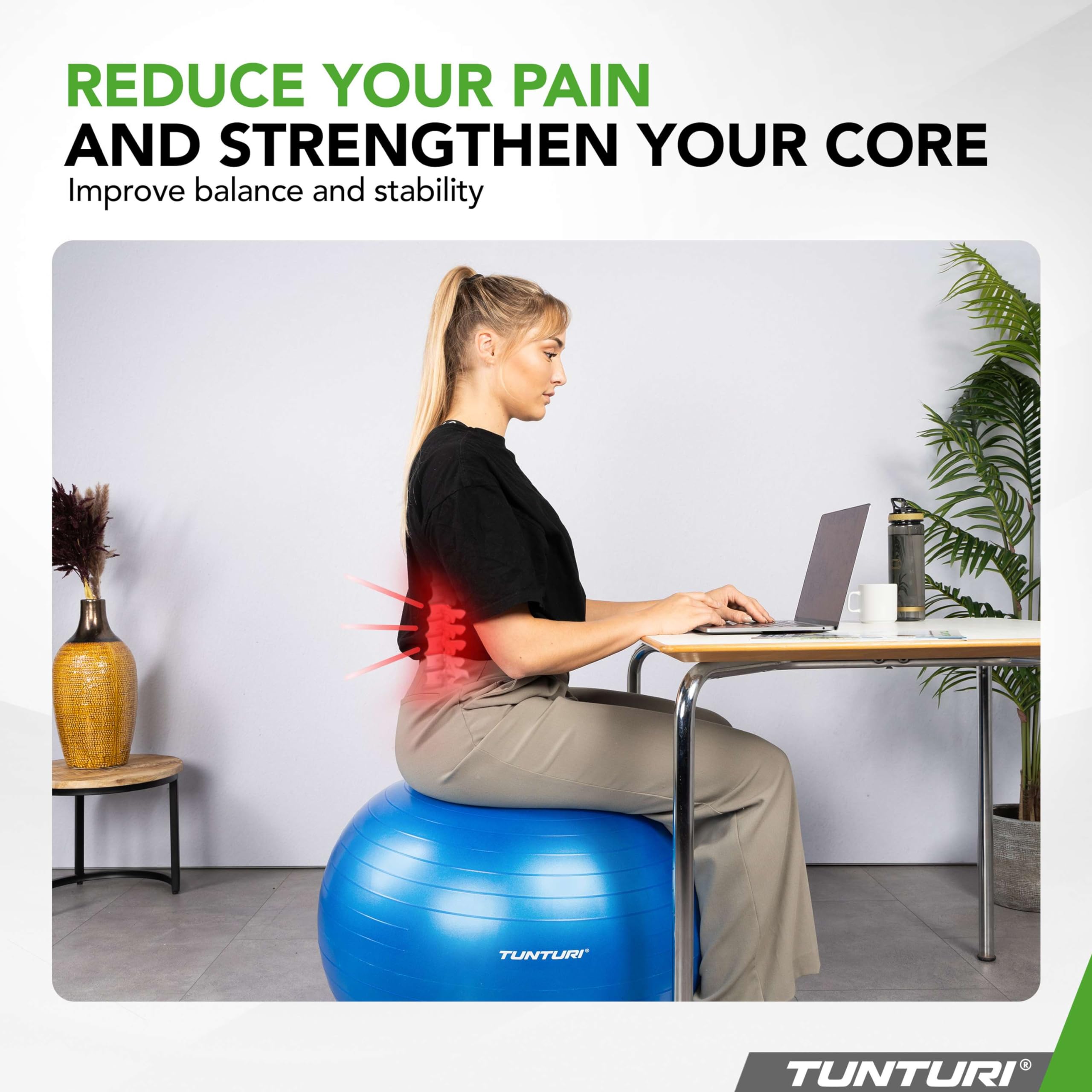 TUNTURI Gym Ball 65CM(Blue) 3