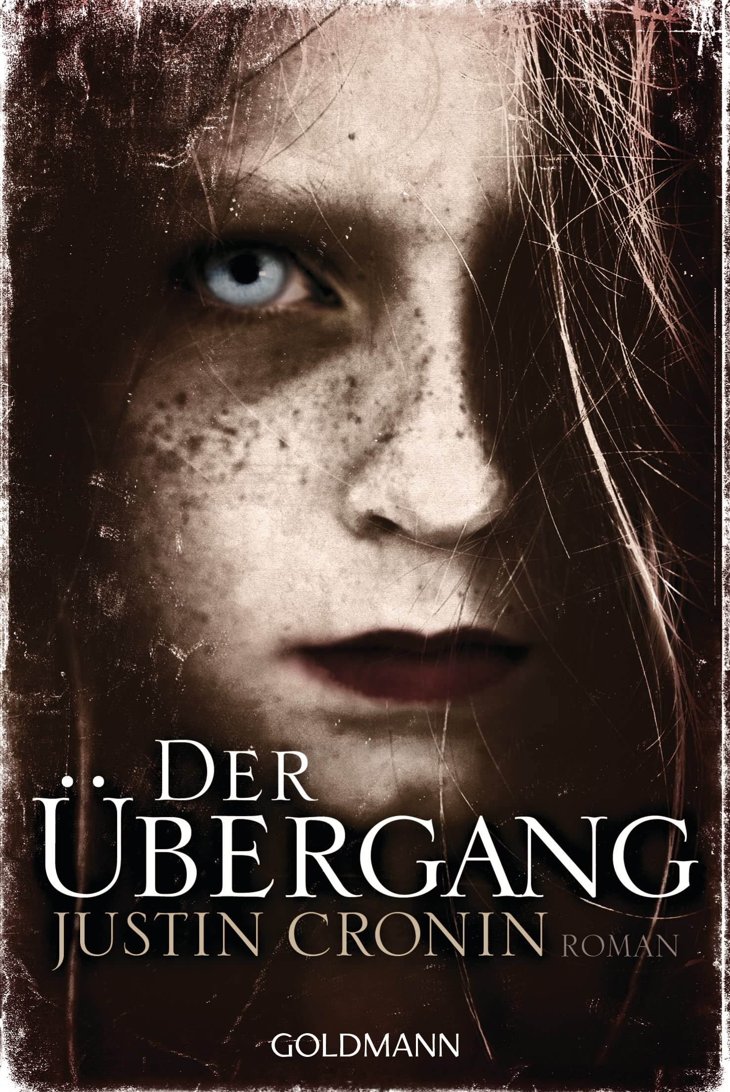 Der Übergang: Roman