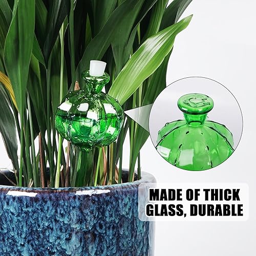 Miniatura 5 de Inserto de maceta de riego automático. Dispositivos de riego de plantas. Bombillas de riego de plantas. 3 globos de riego de plantas. Globos de