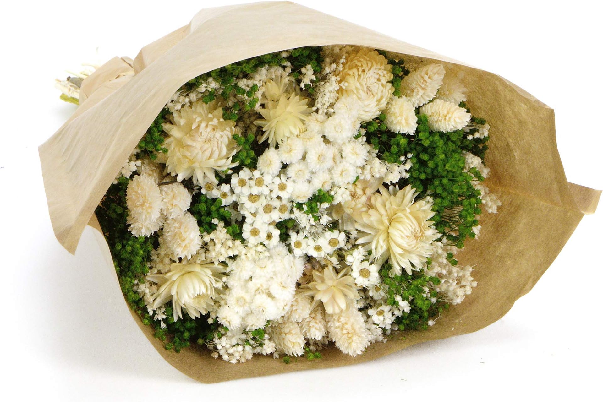 Bouquet-Fantasy- Sanremo Dried Flowers from The Riviera dei Fiori .Italy (Green)