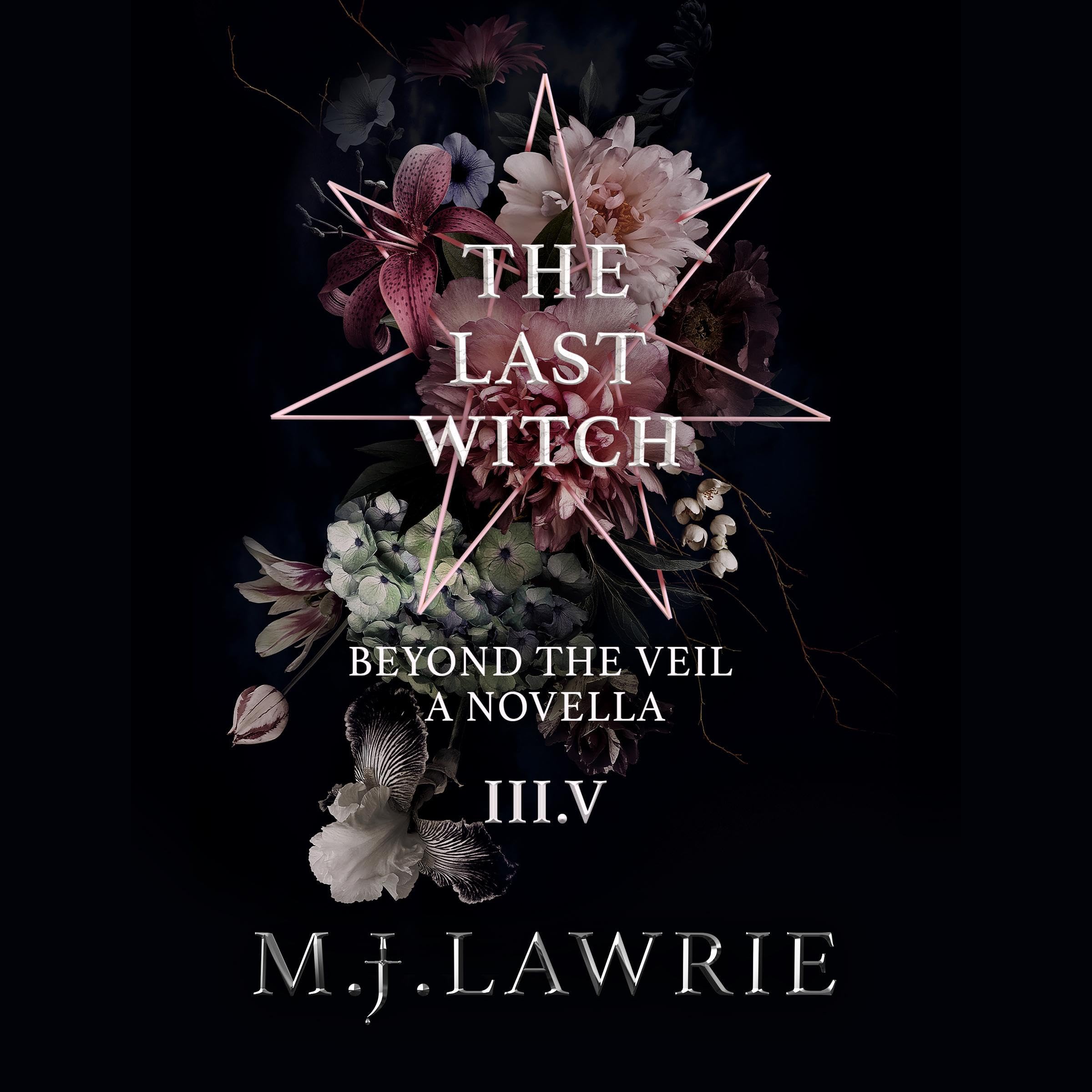 Cover art for The Last Witch: 3.5: Beyond The Veil