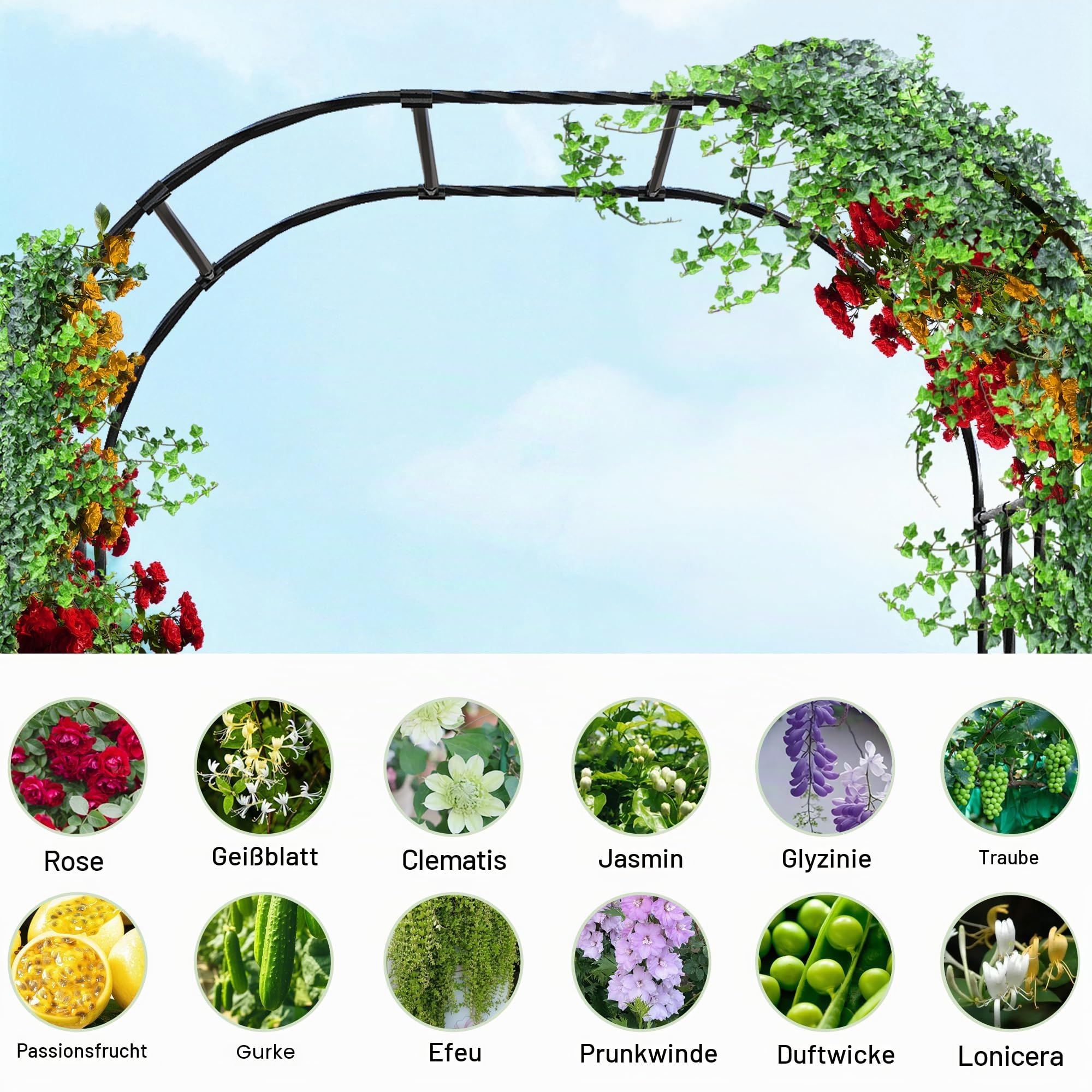 Caroeas Rosenbogen aus Metall, Stabiler Gartenbogen mit 20 mm verstärkten verzinkten Stahlrohren, rostfrei – 180x240x40 cm – Ideal als Rankhilfe für Kletterpflanzen