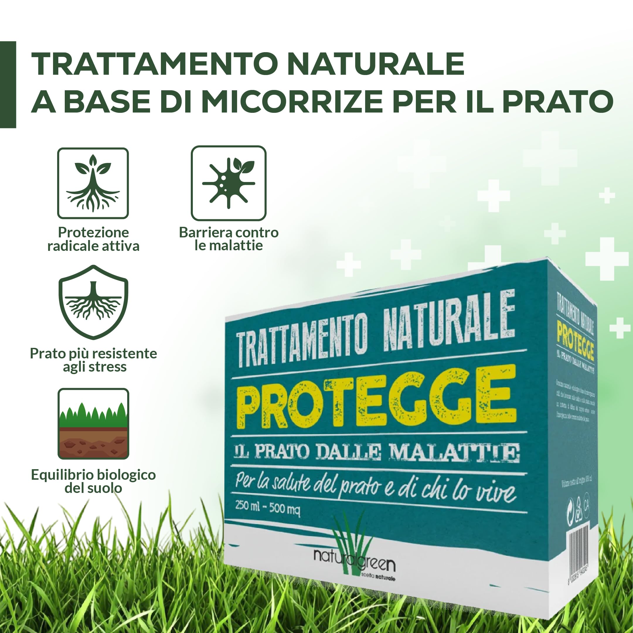 B4Green Protegge Prato (500m²) Funghicida per Prato Naturale Bio 250ml | Fungicida per Prato contro malattie fungine e prato malato, Micorrize Bio e Trichoderma per un tappeto erboso sano e verde