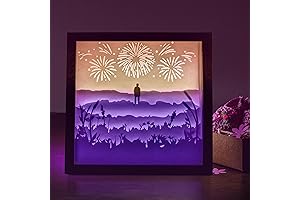 BTS RM Wildflower Inspired Light Box, the Perfect Kpop Gift Box