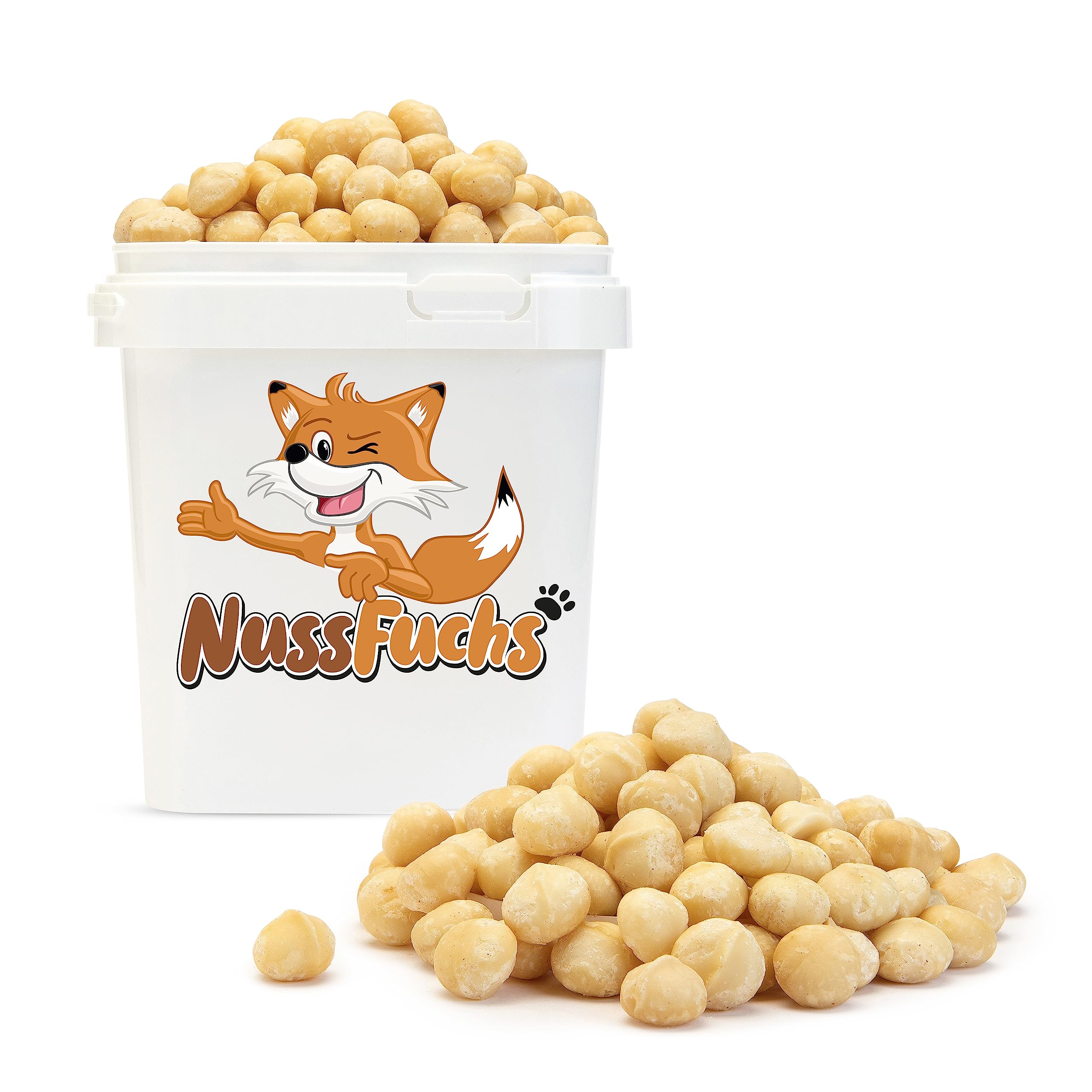 Macadamia Nüsse 1,5kg Macadamianüsse ungeröstet & ungesalzen ganze Macadamia Nusskerne roh ungesalzen naturbelassen unbehandelt knackige Macadamia Nüsse in Rohkostqualität - (1,5kg)