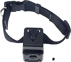Dog collar hidden camera Clearance