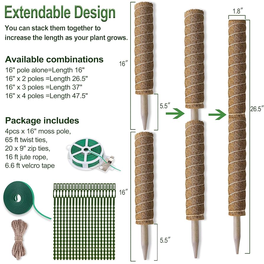 【Fumiti】21-22 MOSS STICK【70 SW Amazon.com : 4 Pack 22 Inch Moss Poles, Stackable Moss Pole
