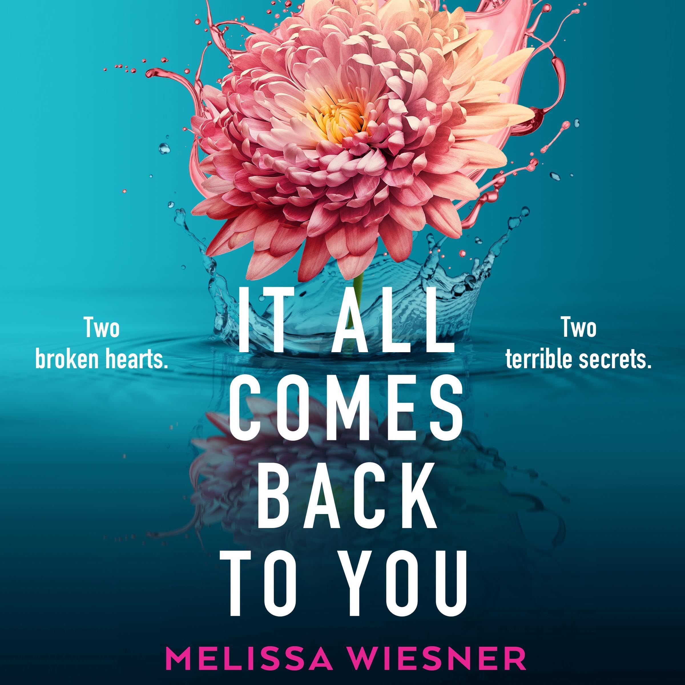 Cover art for It All Comes Back to You