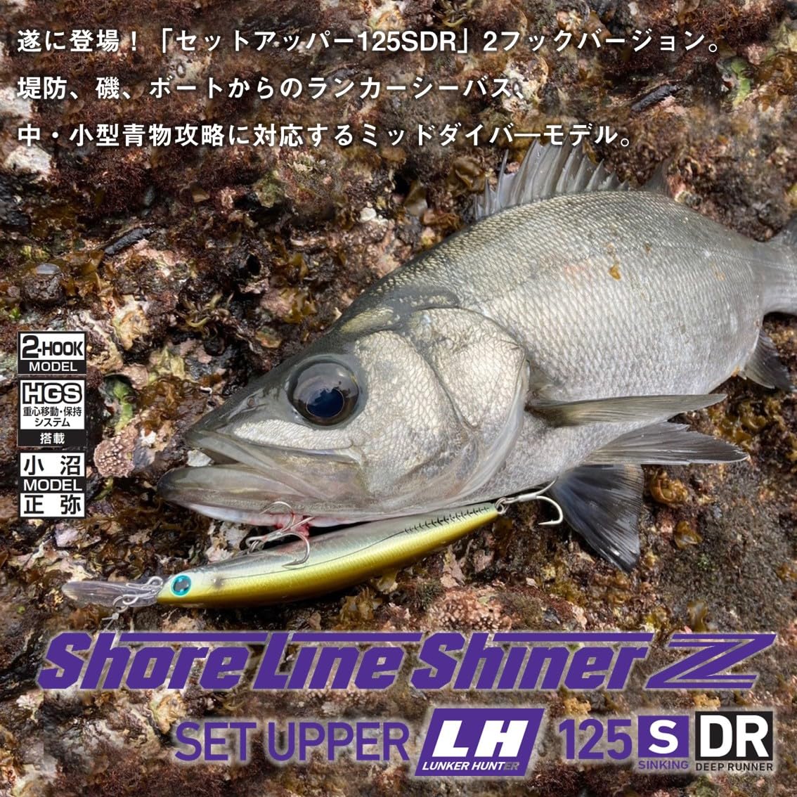 ⚠️早い者勝ち‼️⚠️ DAIWA　ロックショアセット Amazon.co.jp: ダイワ(DAIWA) シーバス ミノー ショアラインシャイナー