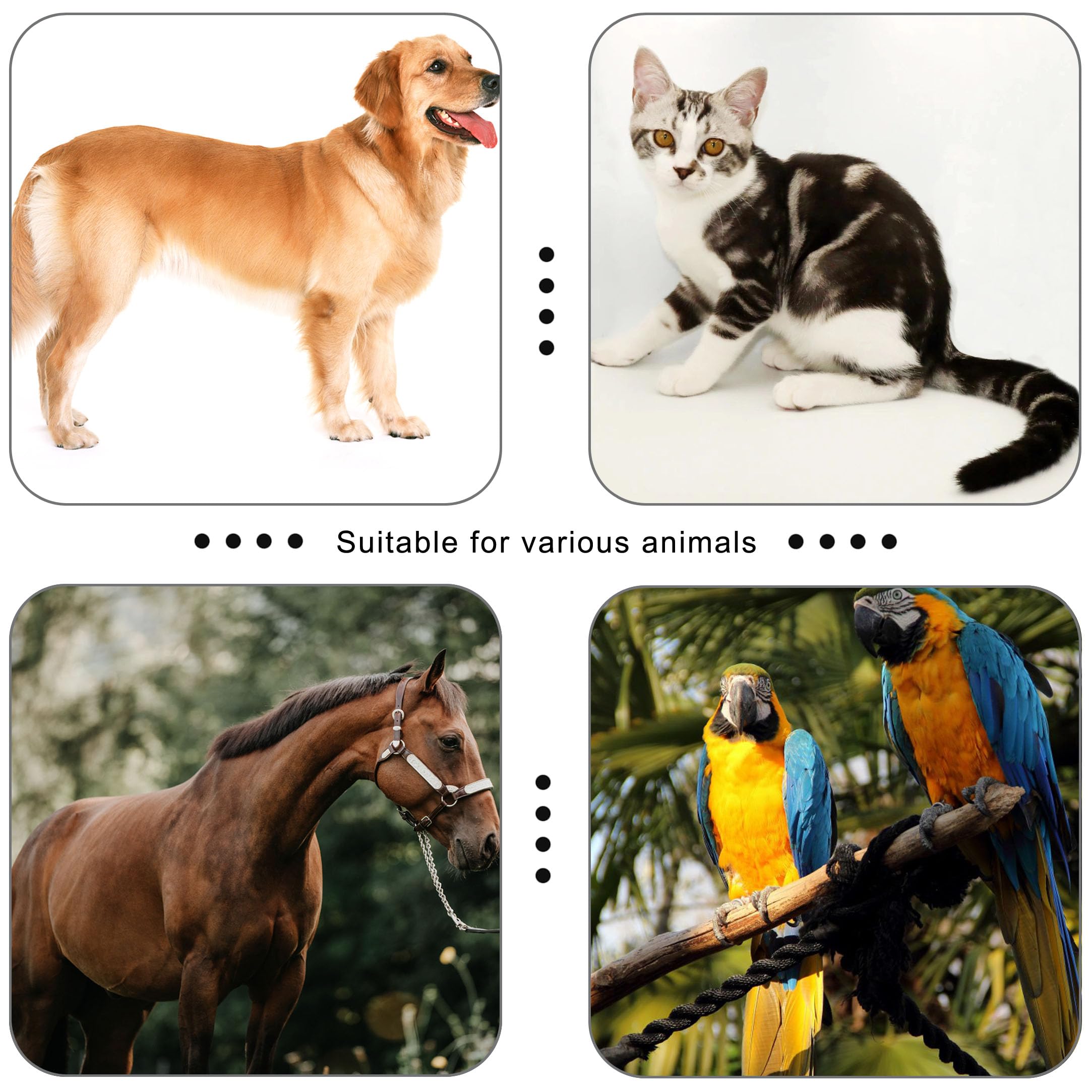 Pet Clicker for Dogs/Cats/Horses/Birds or Other Animals - Clickers for Training (Blue + Green) - image 4