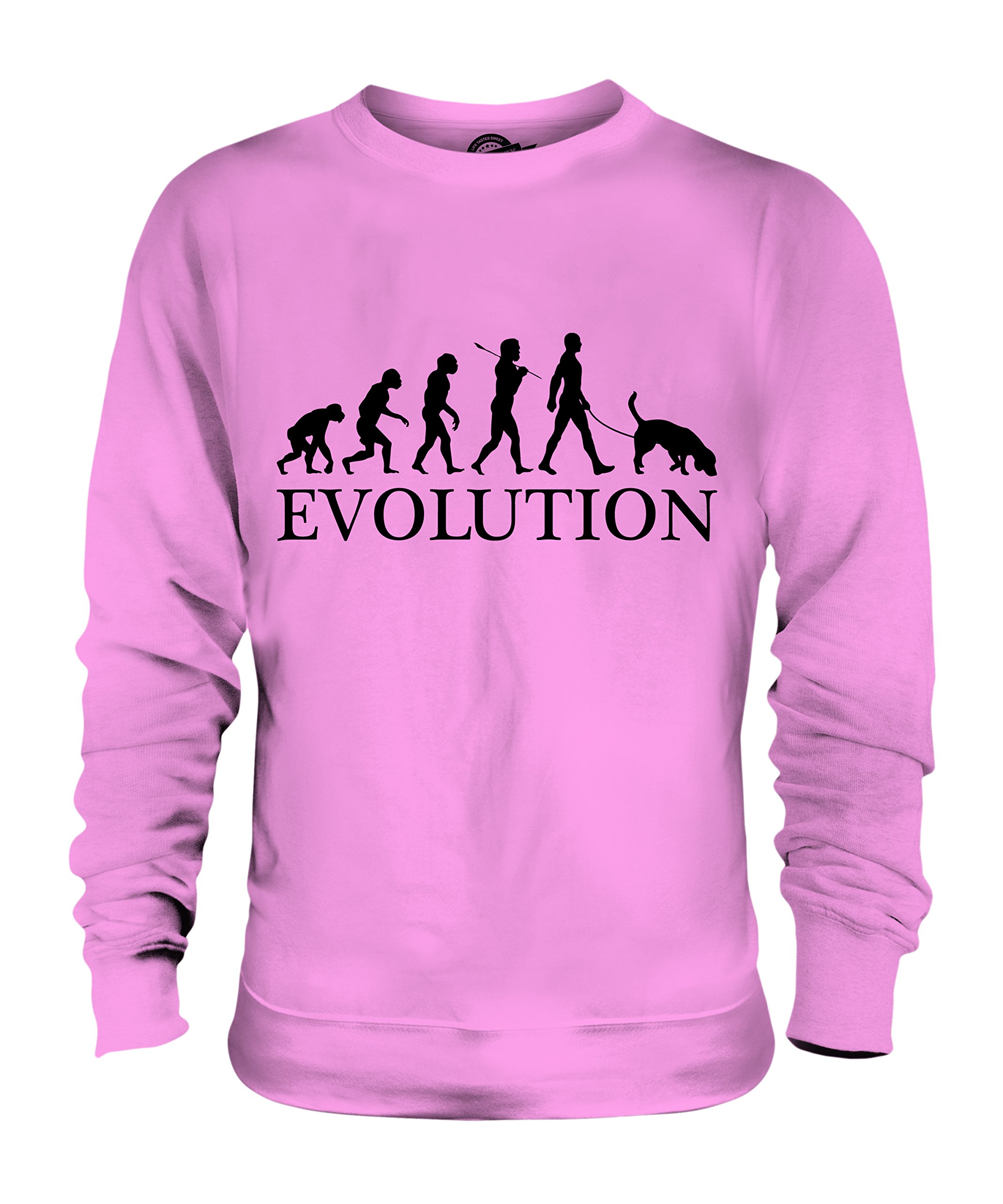 Sweat Braque Allemand Évolution cadeau idéal pour propriétaire de chien - 3