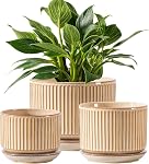 Ceramic Plant Pots Set of 3, 4.3+5.5+6.7 Inch Indoor Flower Pots with Drainage Hole & Saucer & Hole Mesh Pads, Striped Decorative Planter Set for Indoor Plants (Green)
